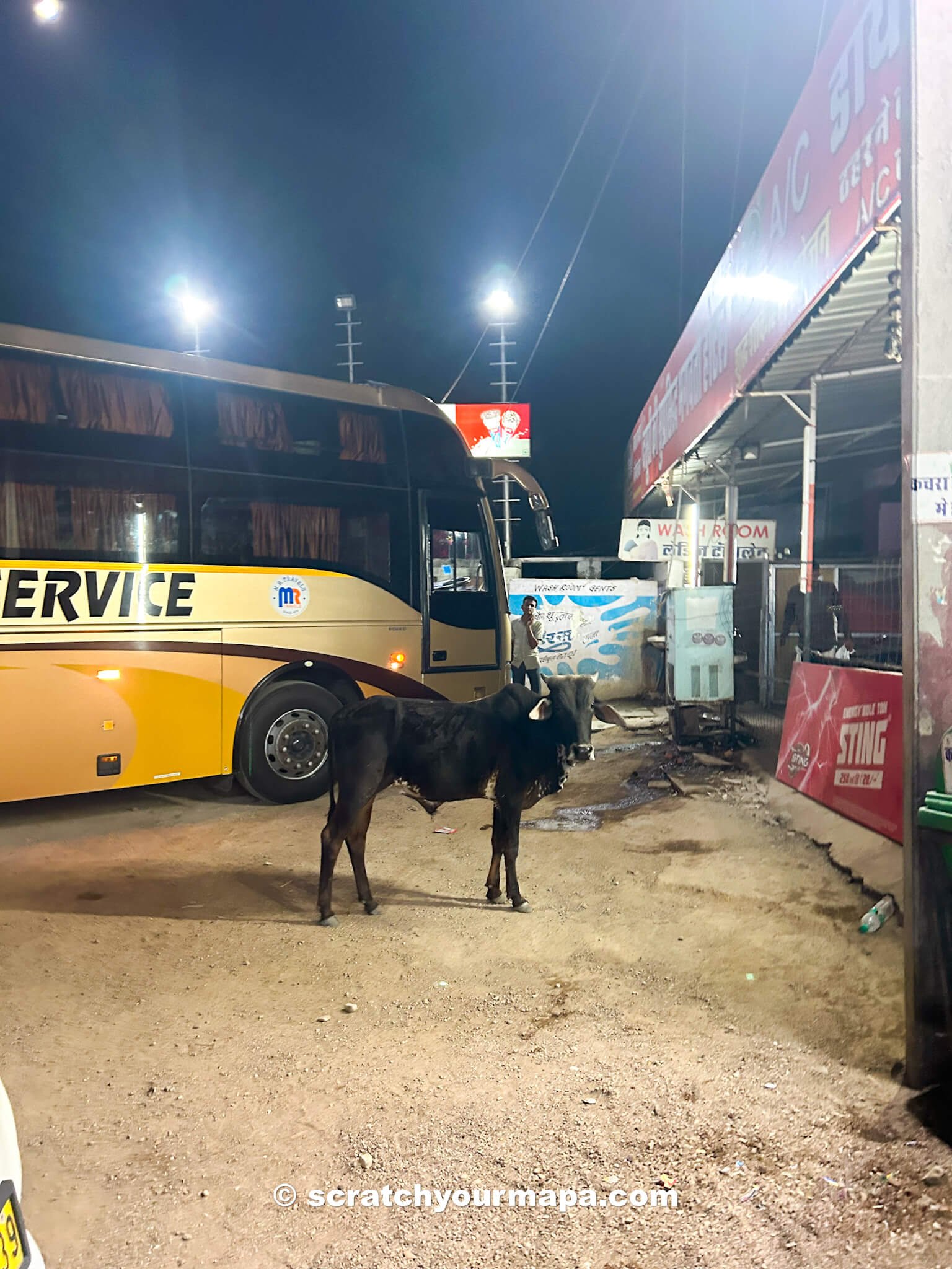 how to get around in India with a bus