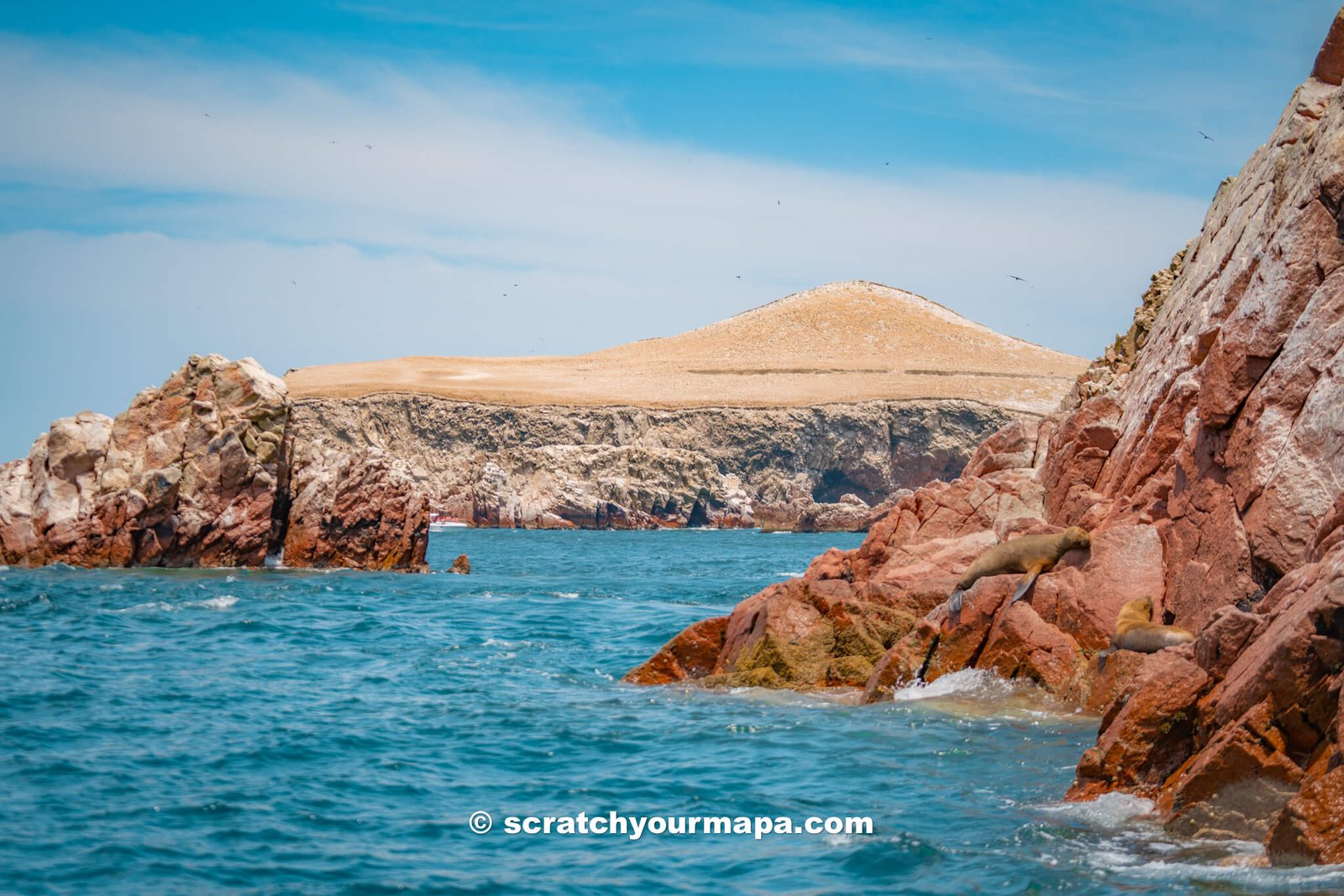 Islas Ballestas Tour in Pacaras, Peru