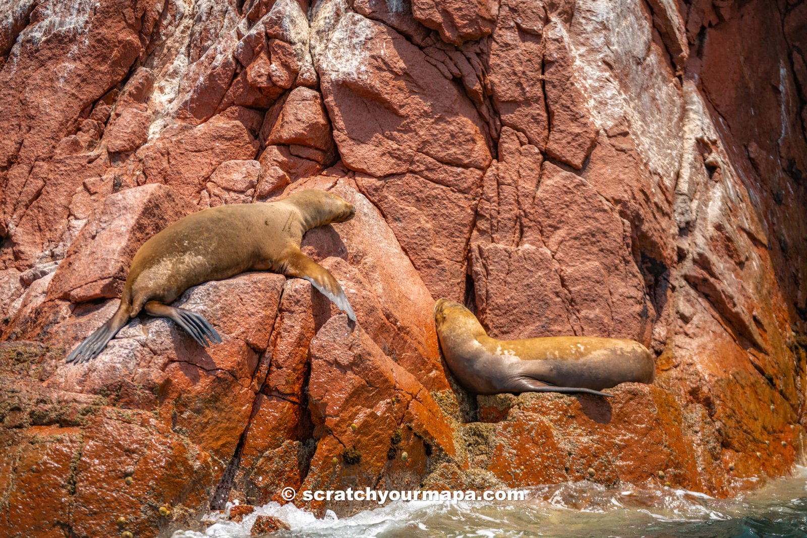 Paracas Peru 2-Day Itinerary