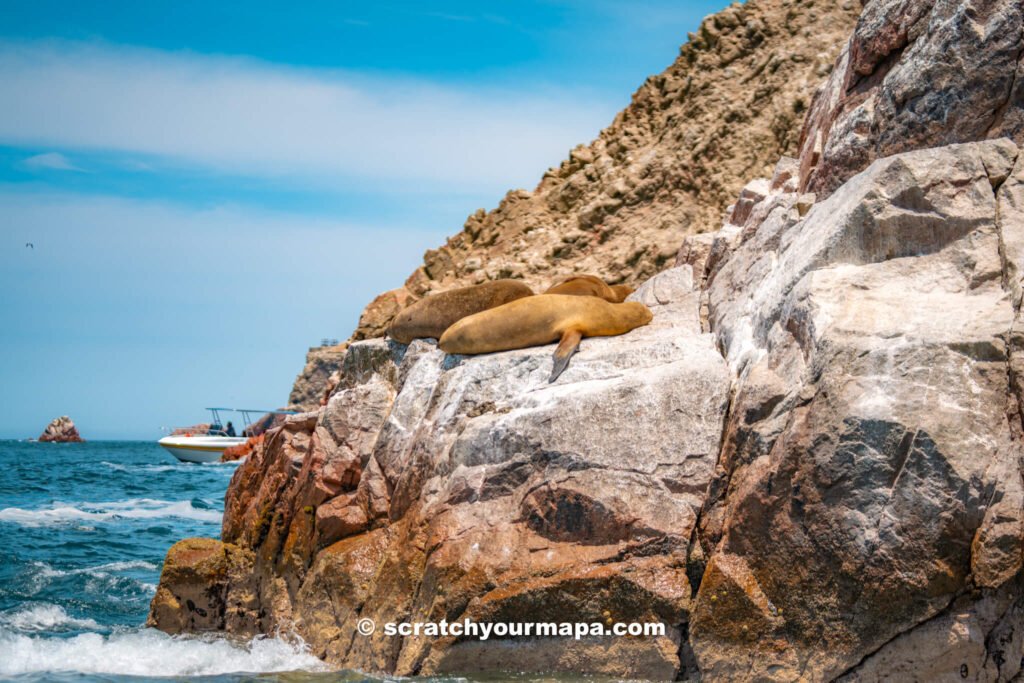 Ballestas Islands