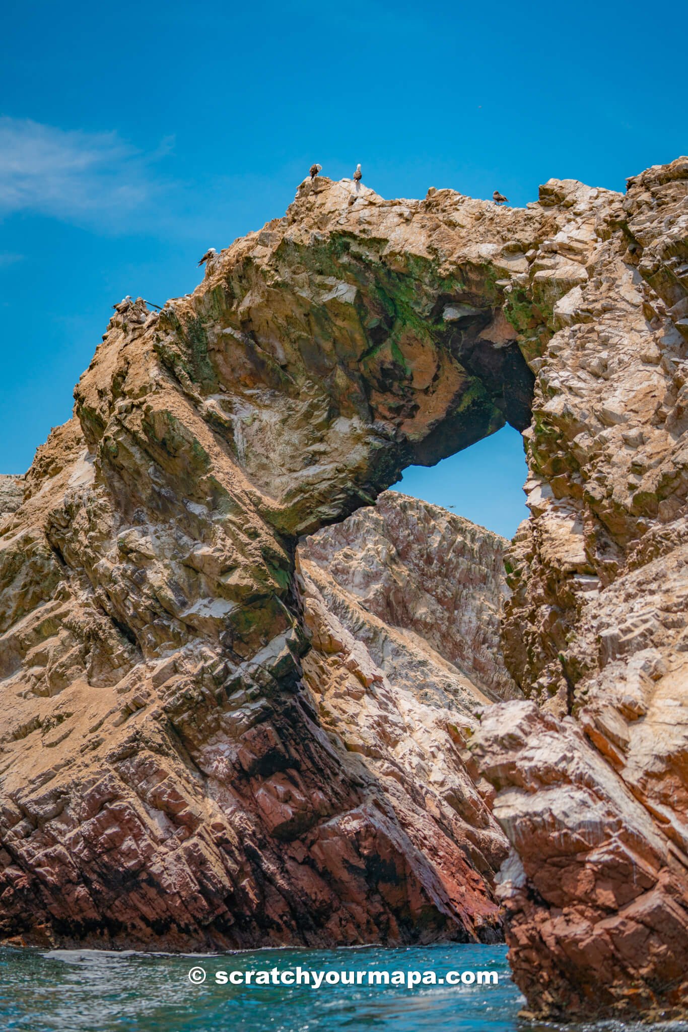 Islas Ballestas, day trips from Lima