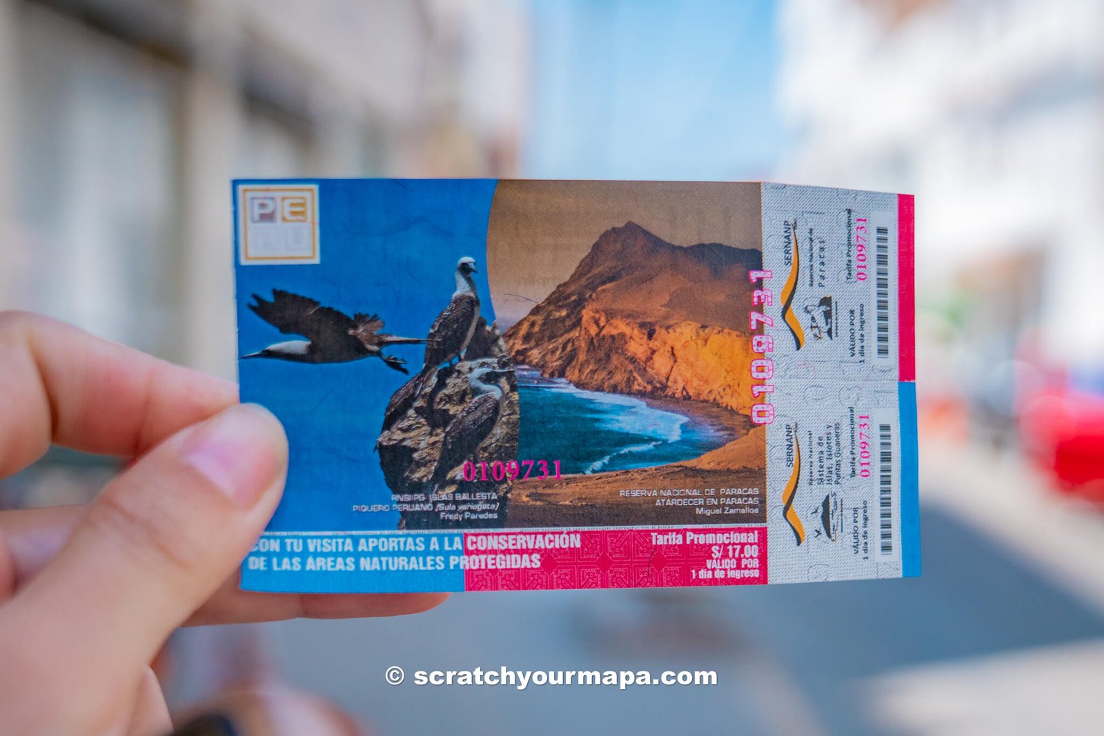 ticket to the Islas Ballestas tour 