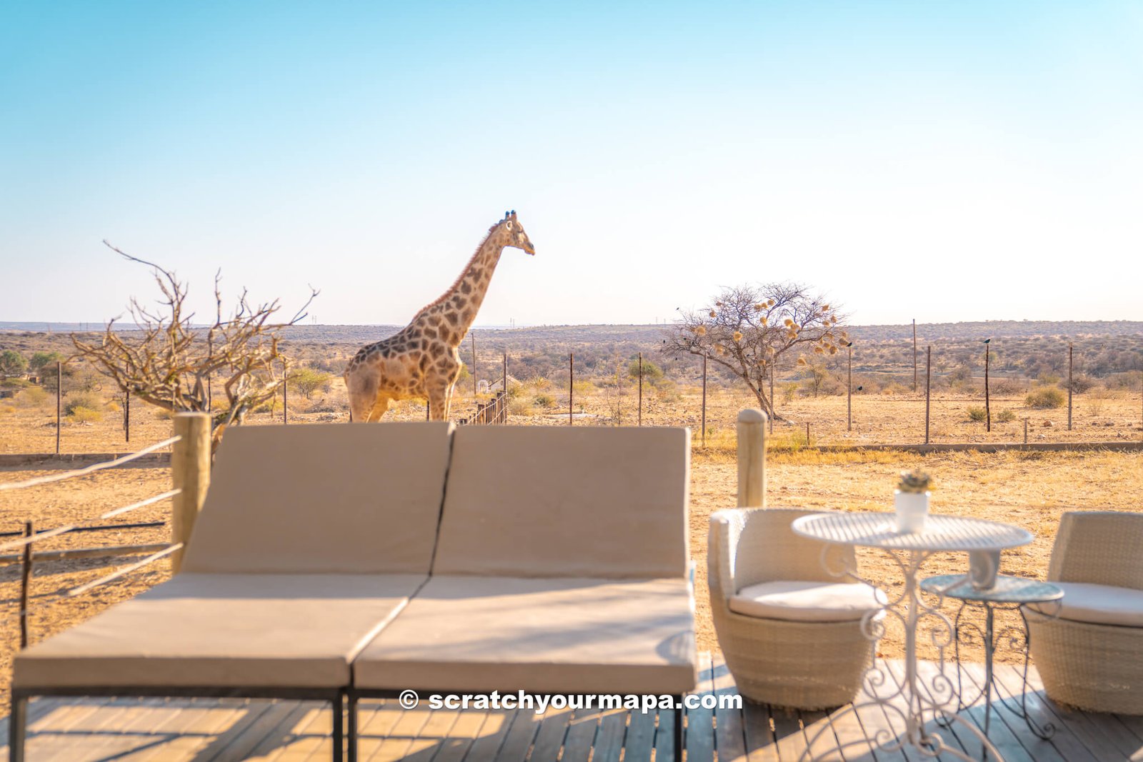 Voigtland Guest House, the most unique places to stay in Namibia 