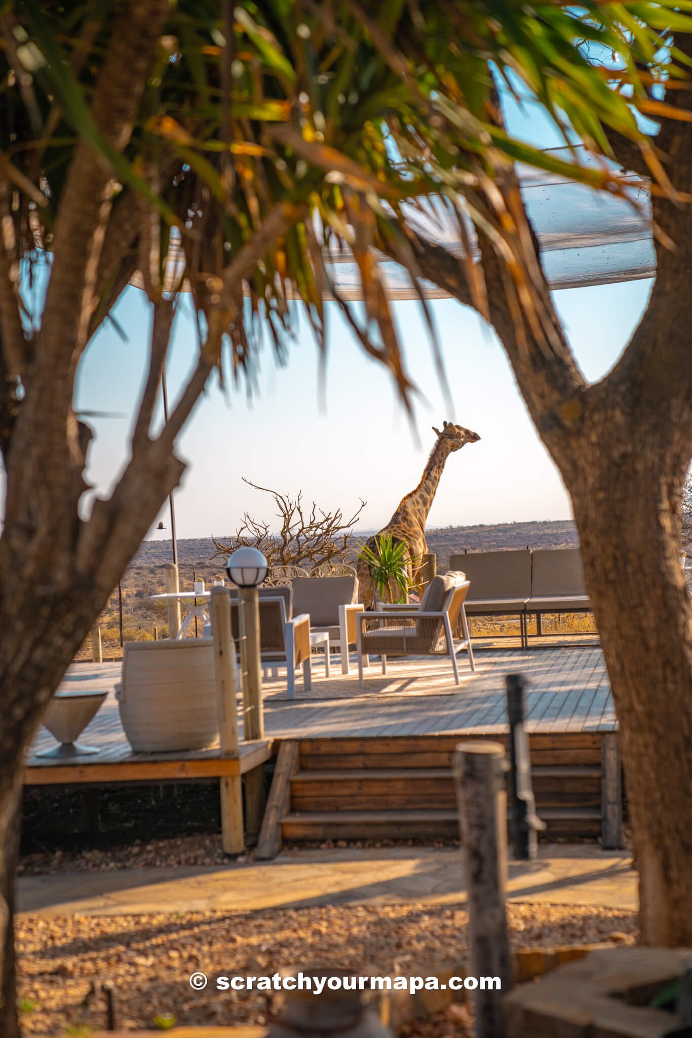 Voigtland Guest House, the most unique places to stay in Namibia 