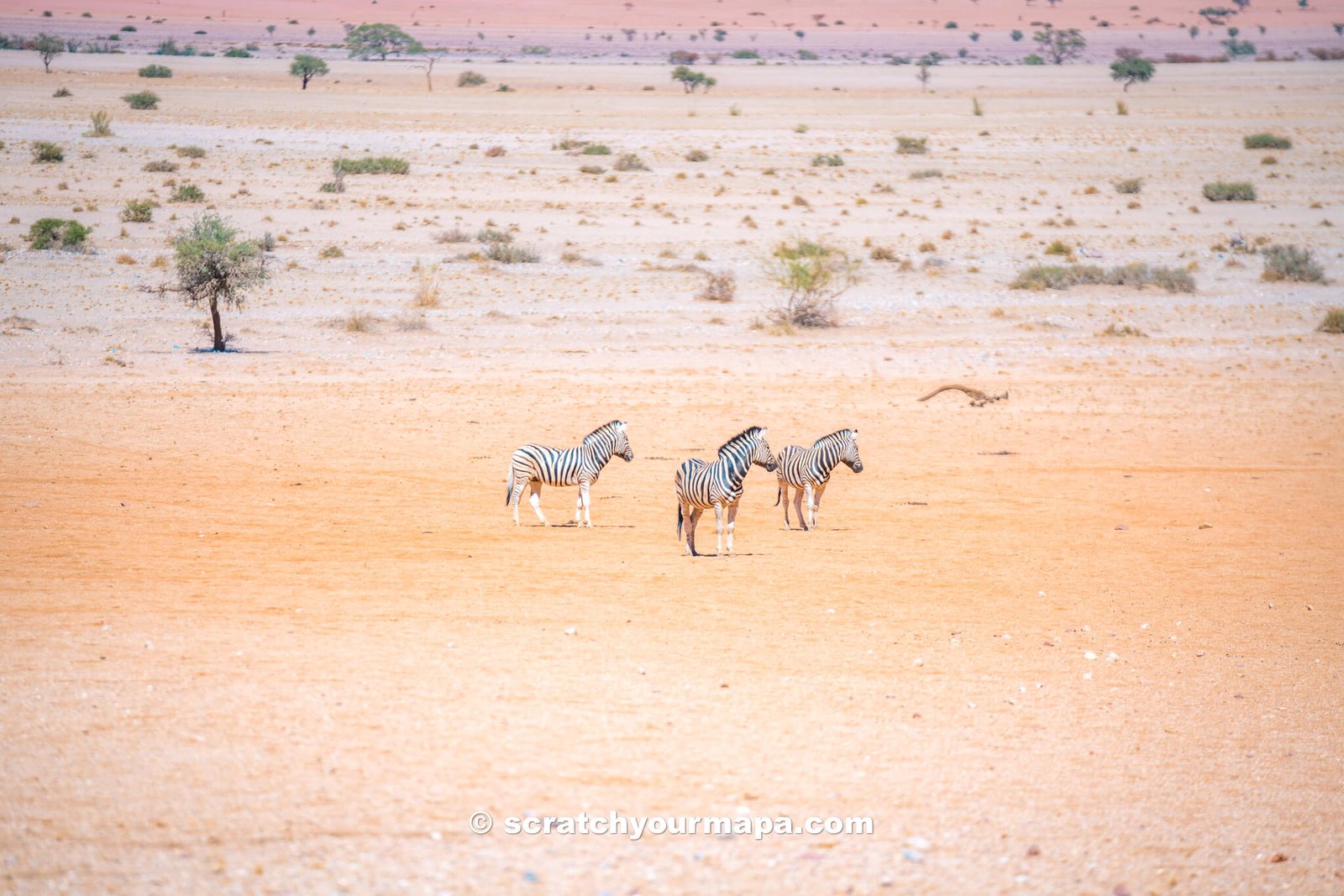 Camp Sossus, the most unique places to stay in Namibia 