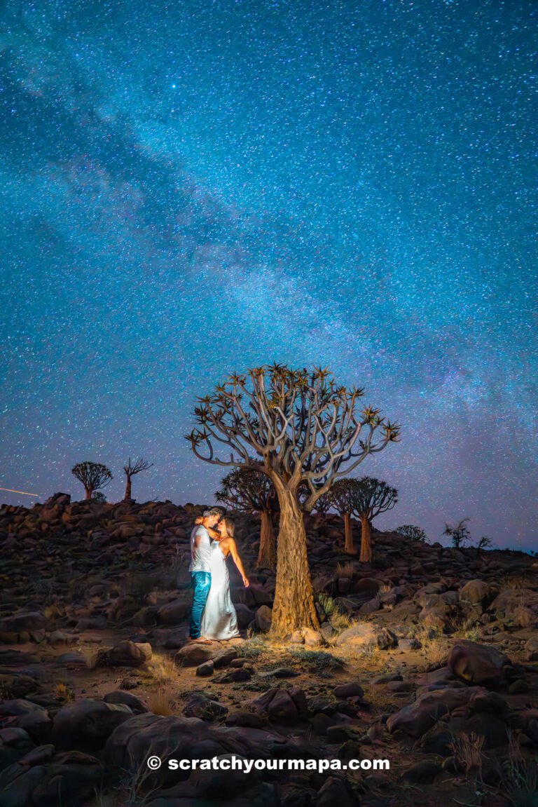 Quiver Tree Forest, the most unique places to stay in Namibia