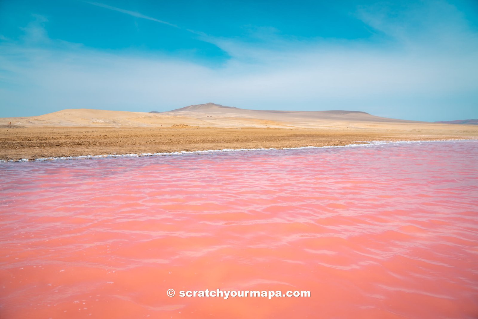 Paracas pink lake - how to plan a trip to Peru