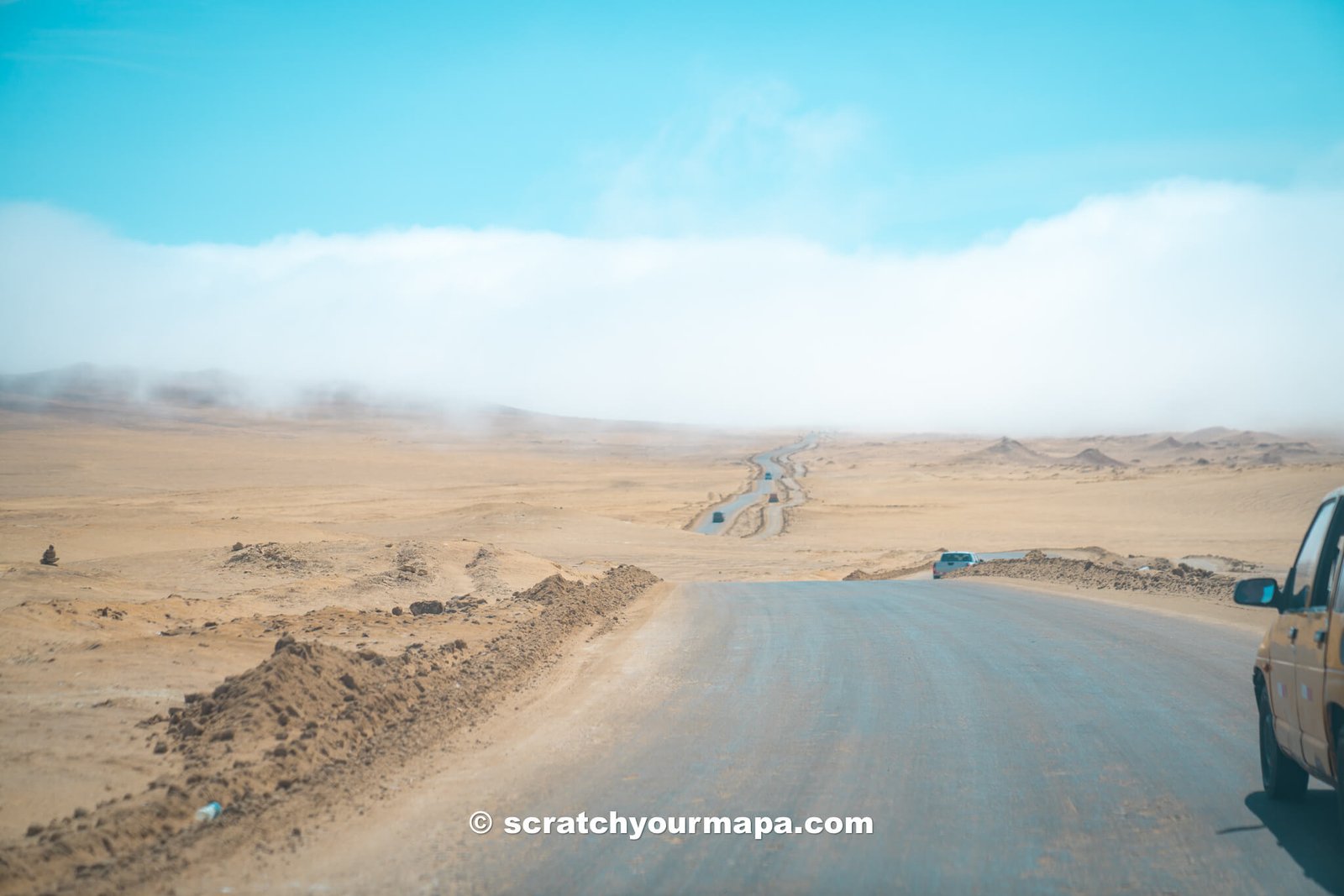 Paracas National Reserve 