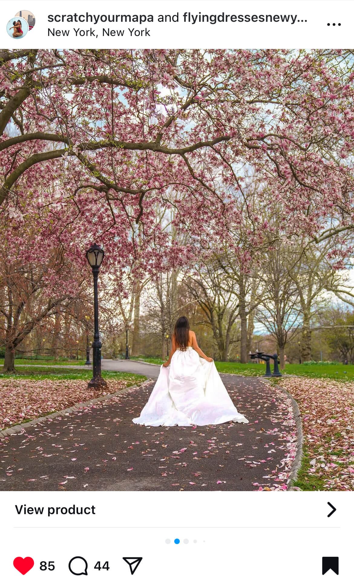 Central Park cherry blossom photo shoot with Flying Dresses New York