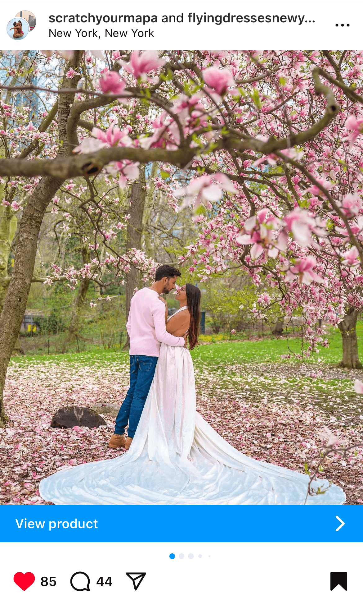 cherry blossom photoshoots in NYC