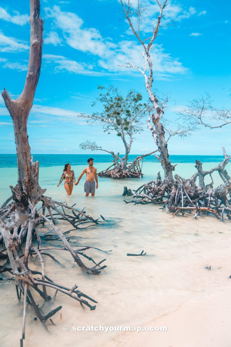 Cayo Jutias, top attractions in Viñales, Cuba