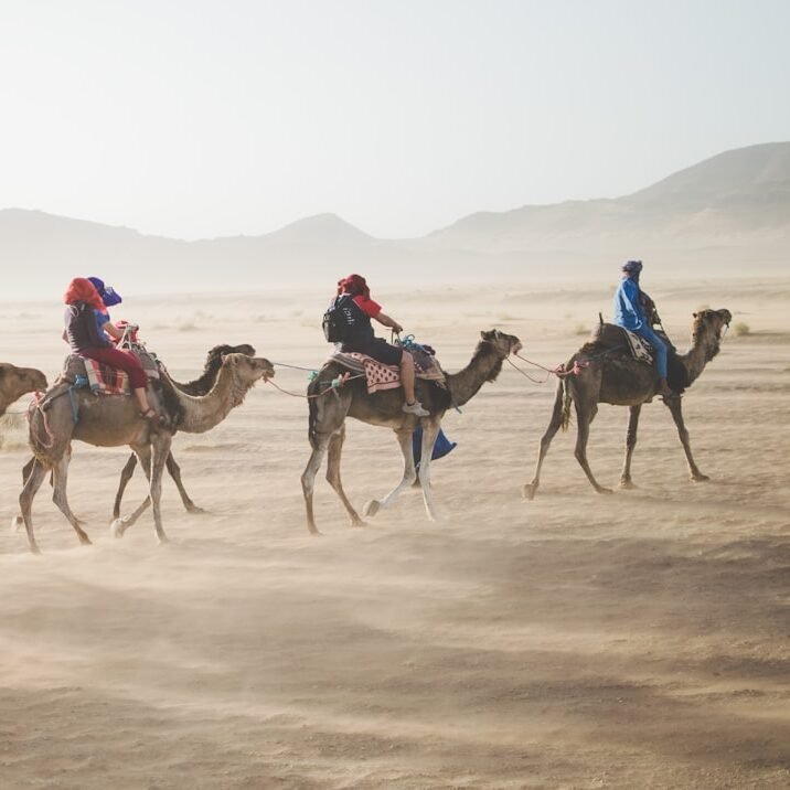 group of people riding camel on sand dune