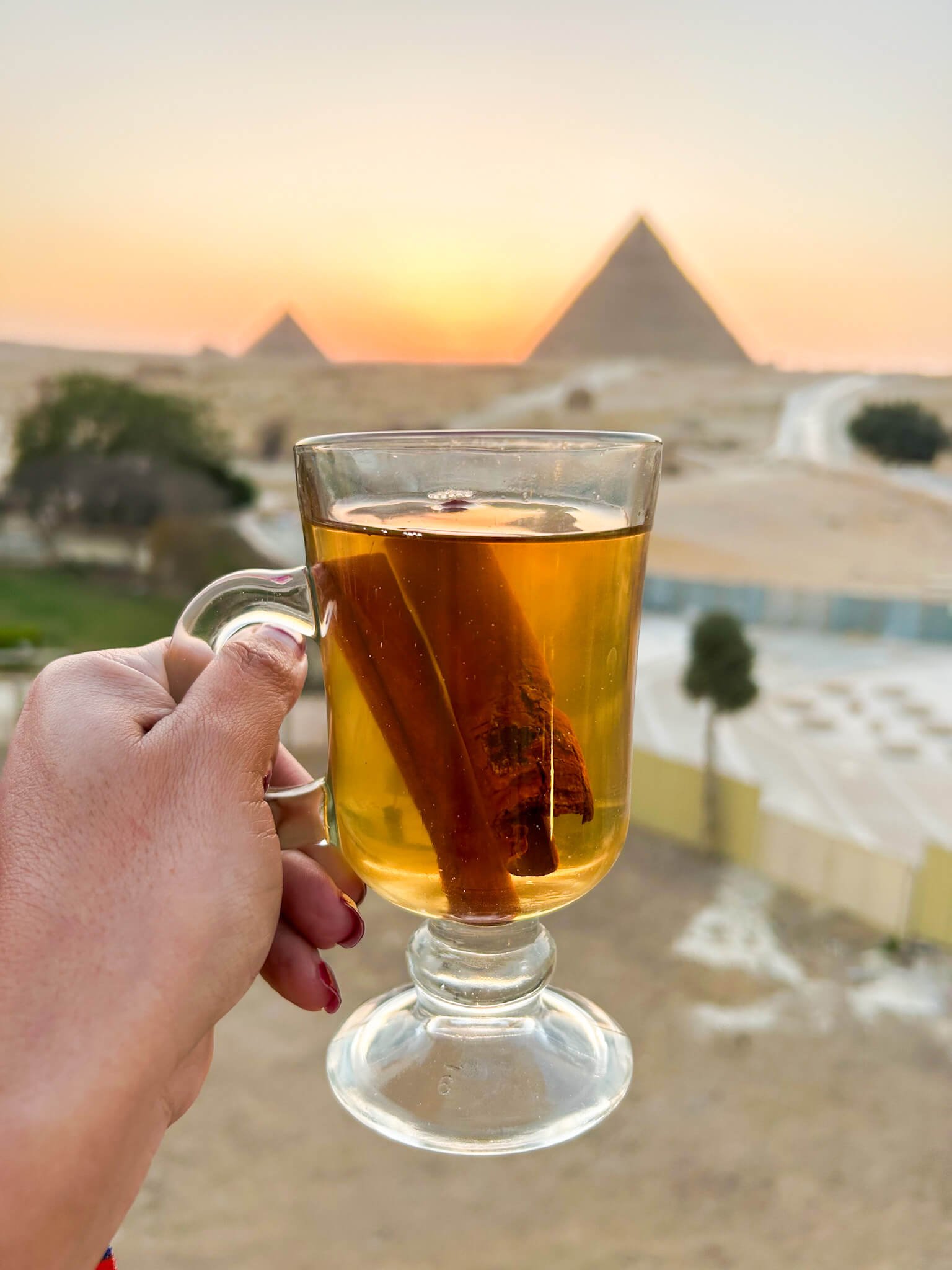 tea in Egypt, Egypt food & drink guide