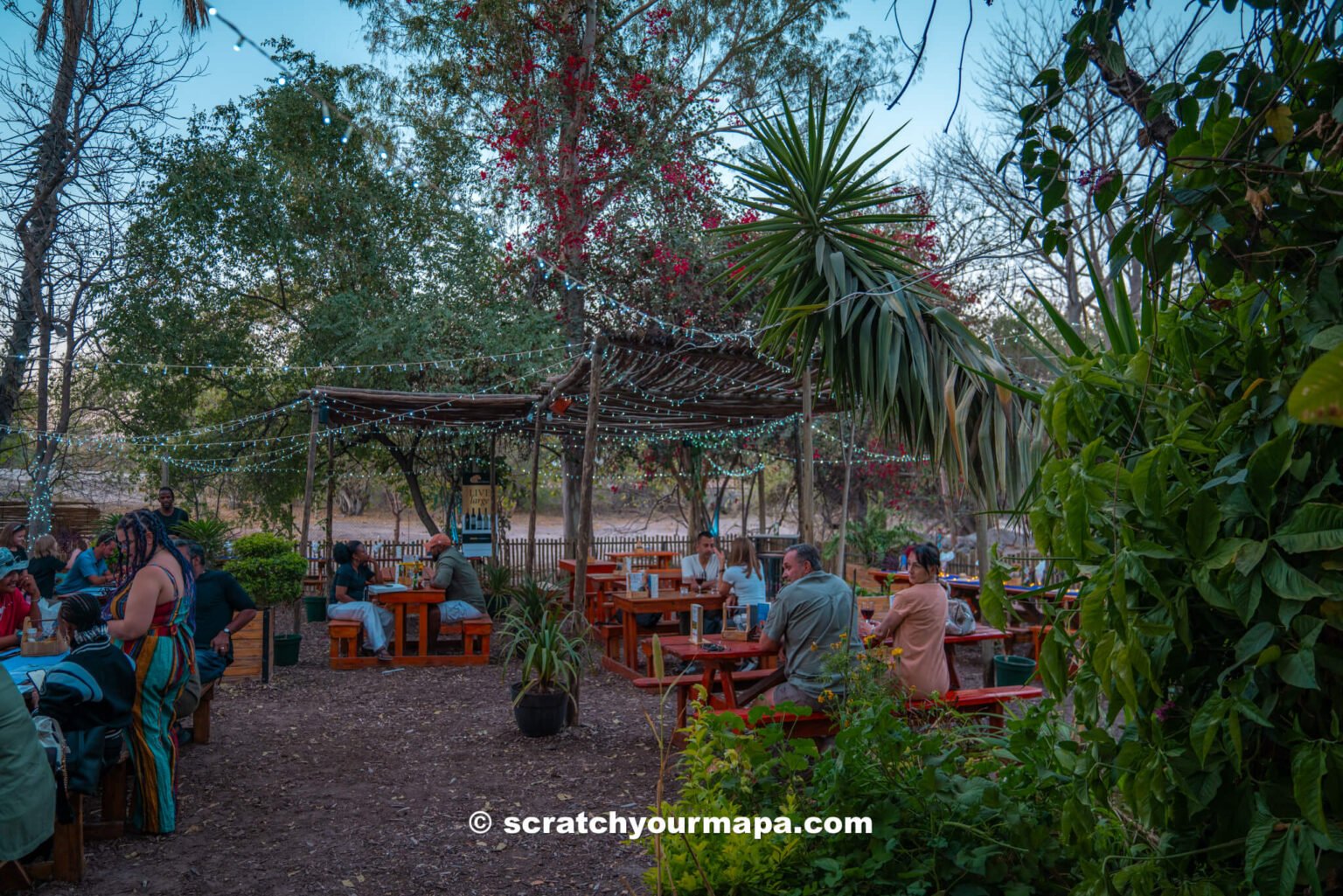 IS BOTSWANA WORTH VISITING intelligence overview