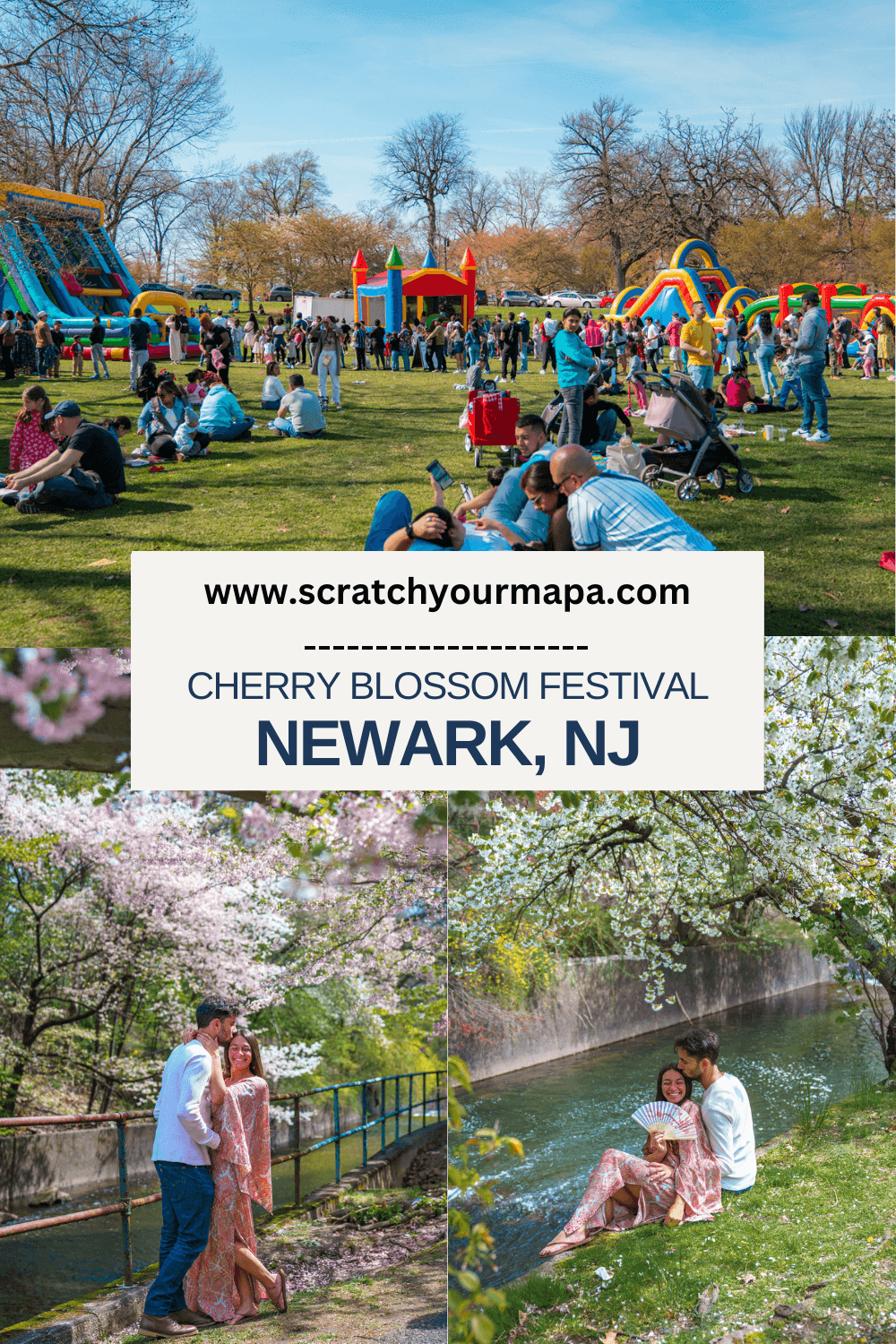 Branch Brook Cherry Blossom Festival pins