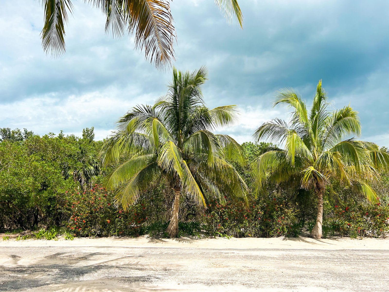 weather in Viñales