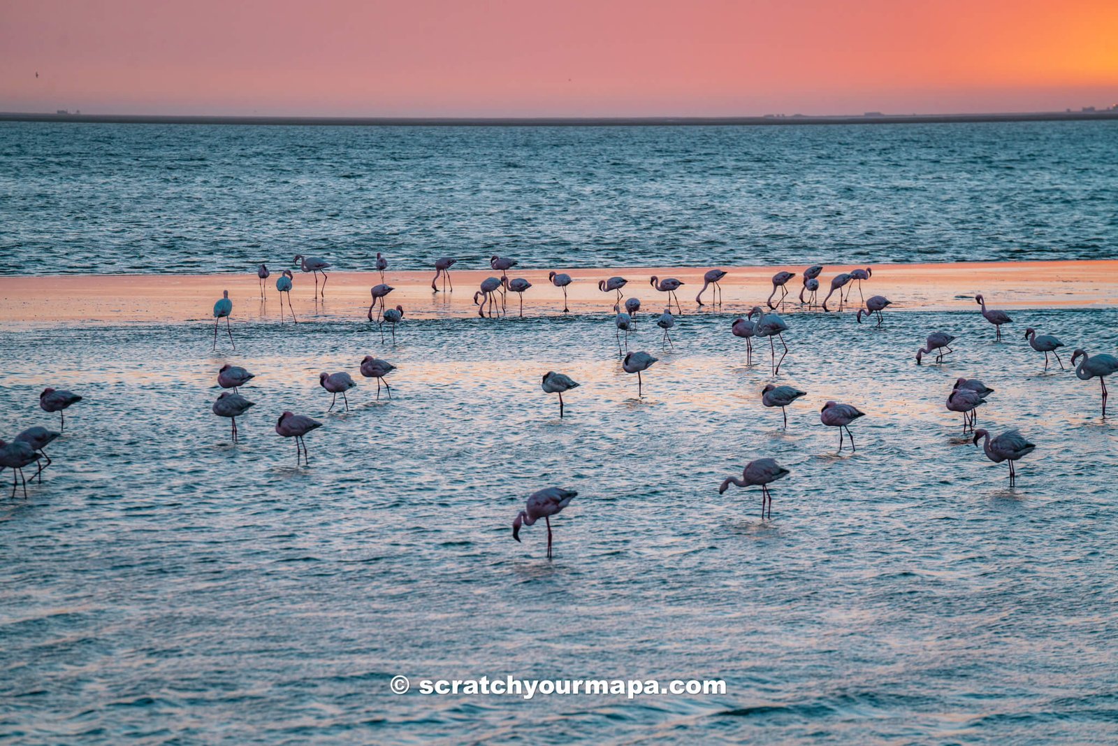 Namibia Travel Guide