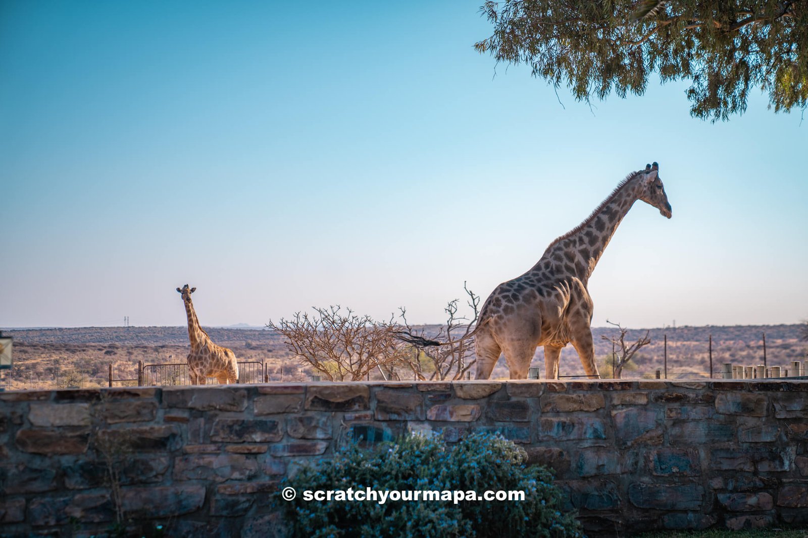 first time safari tips - where to stay