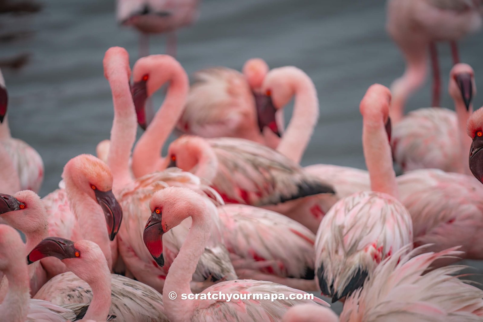 Walvis Bay, best places to visit in Namibia