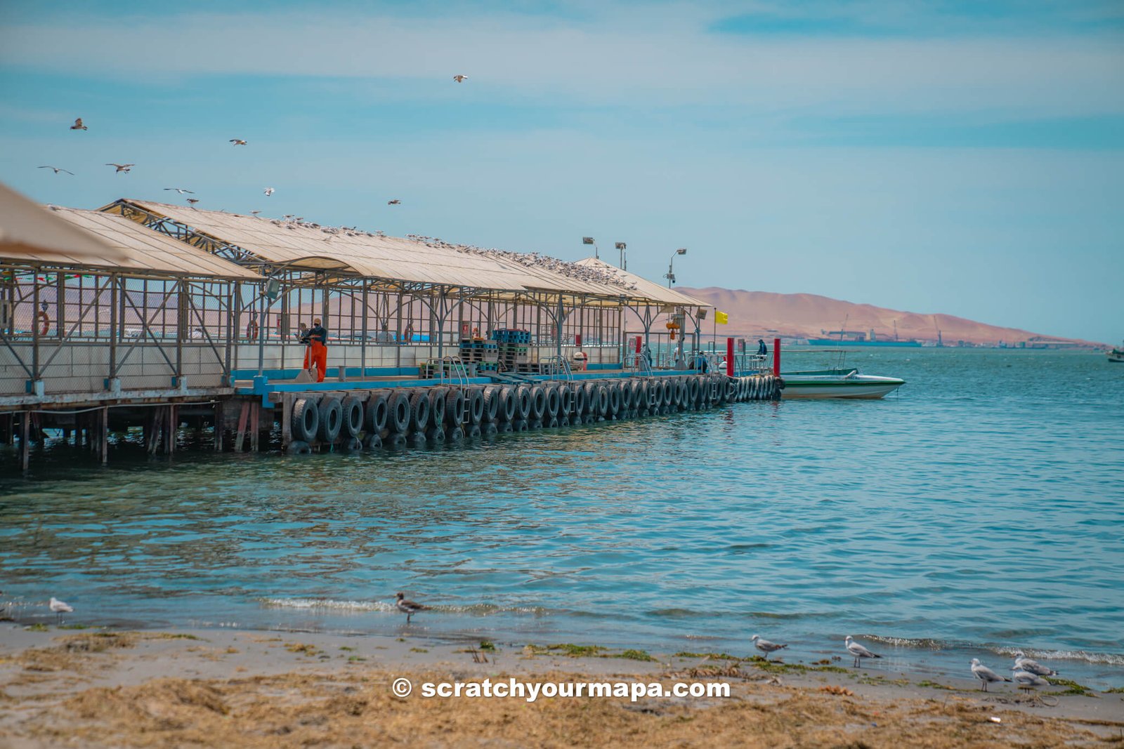 pier of Paracas to use for going on an Islas Ballestas Tour