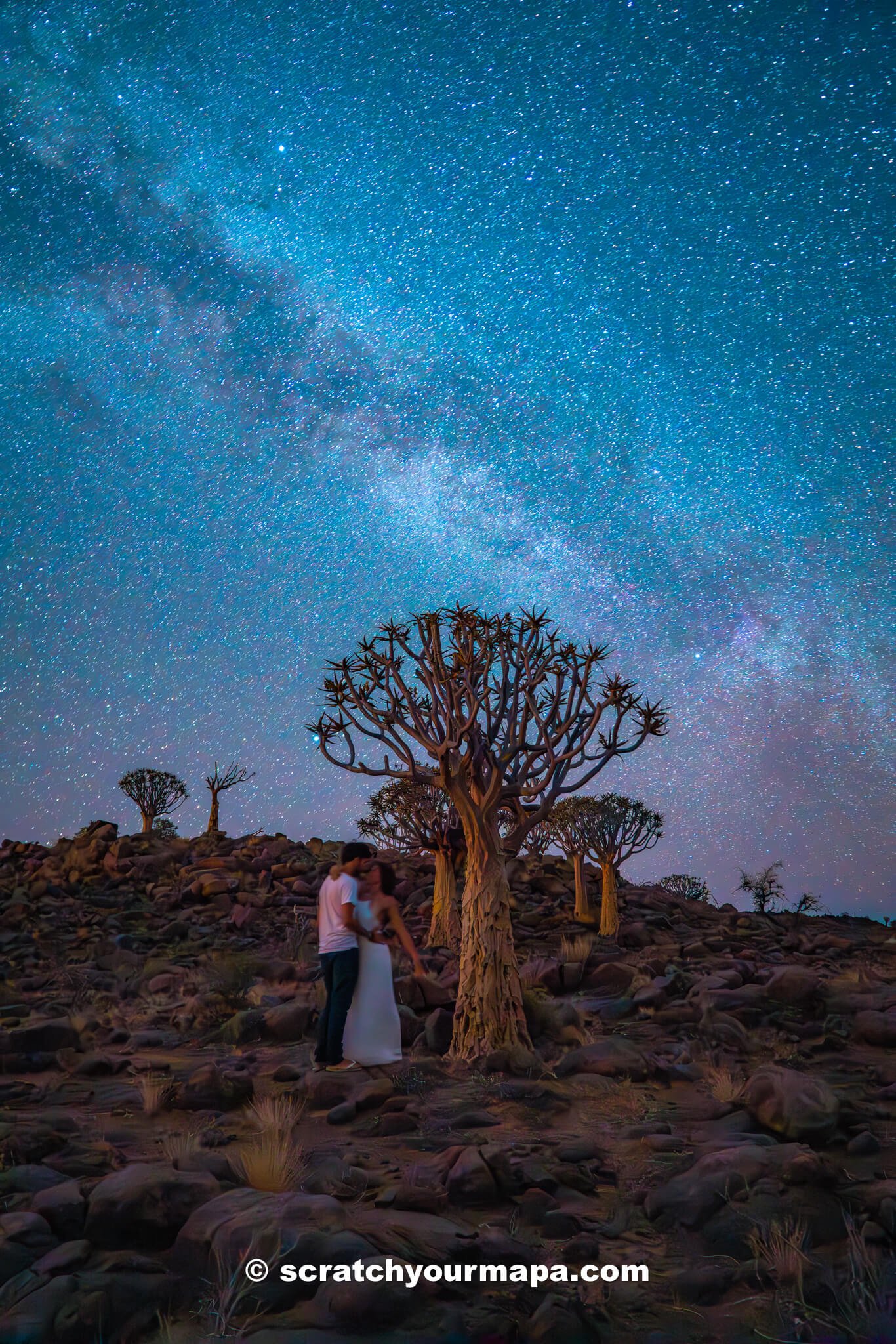 quiver tree forest - one of the best places to visit in Namibia