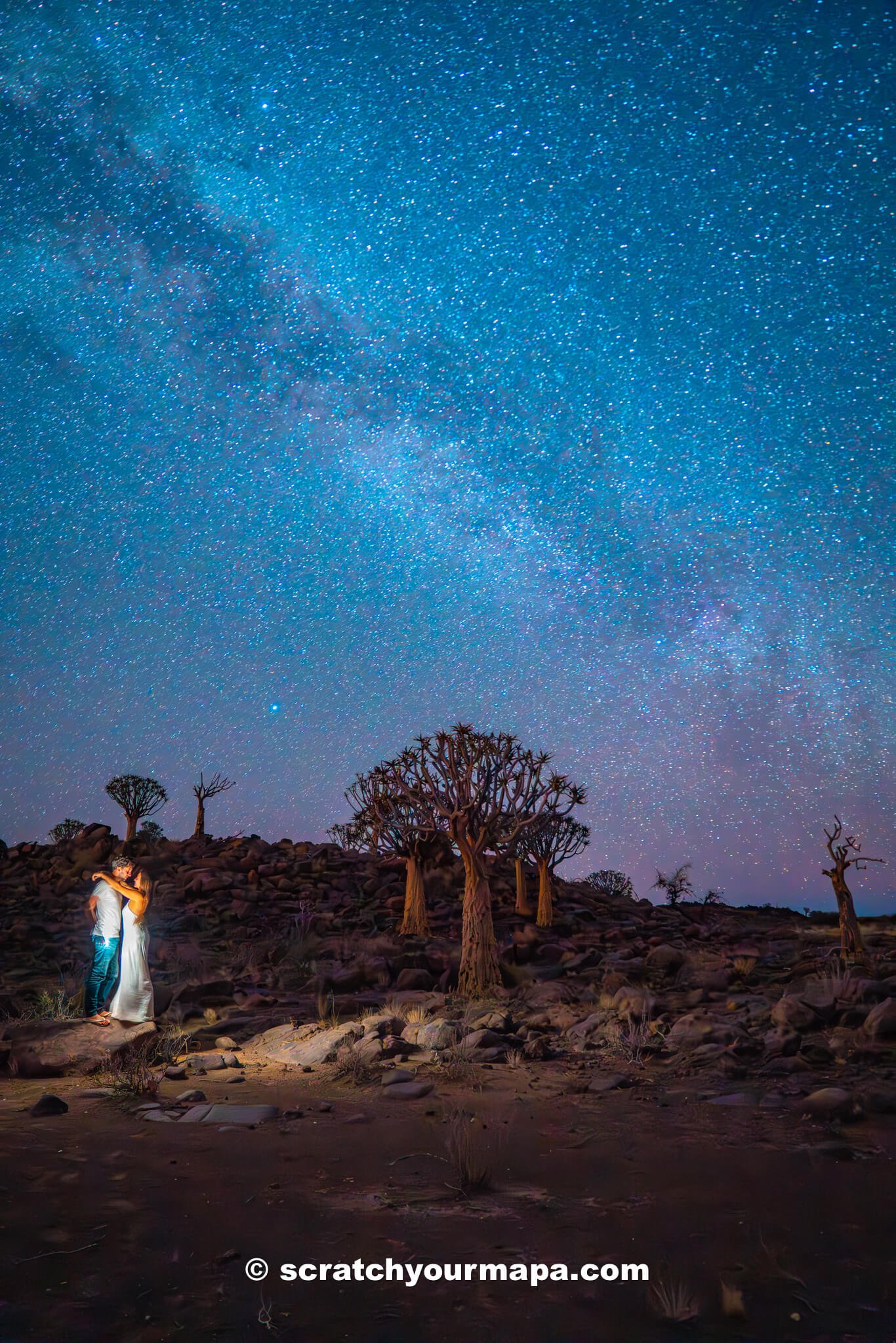 Quiver Tree Forest in Namibia at night