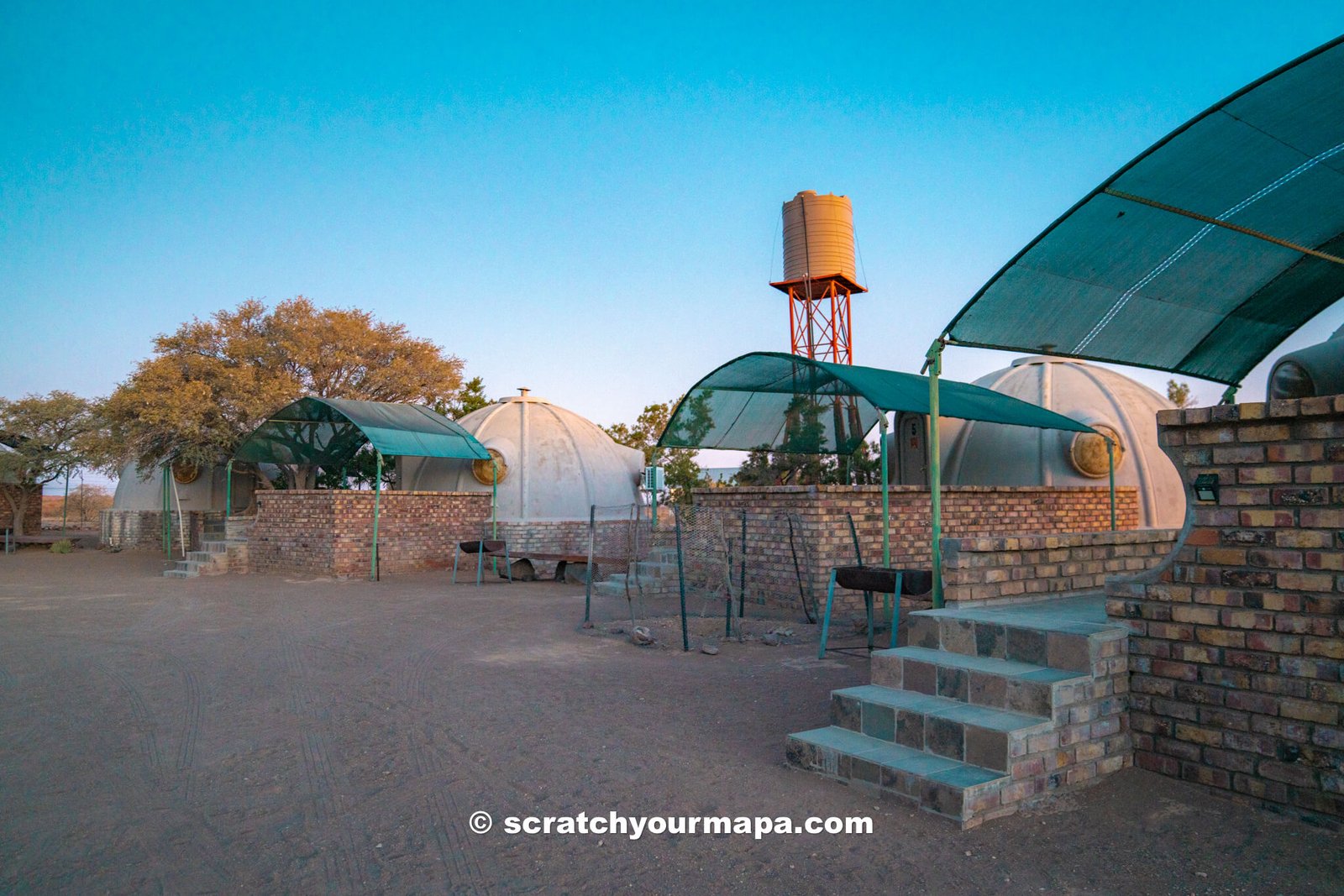 Quiver Tree Forest lodges