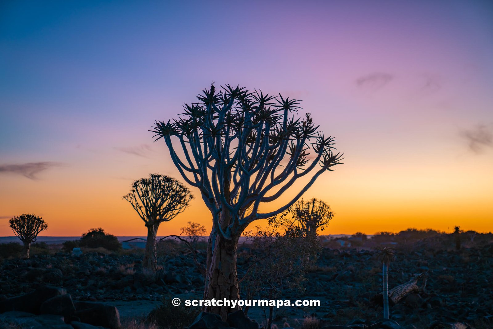 sunset at Quiver Tree Forest in Namibia