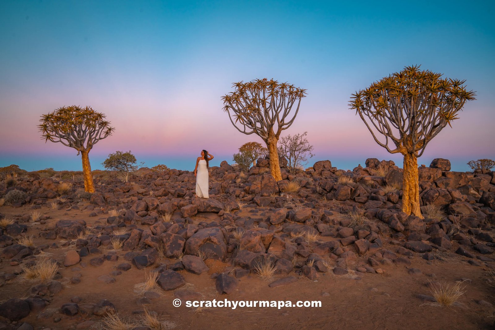 quiver tree forest - one of the best places to visit in Namibia