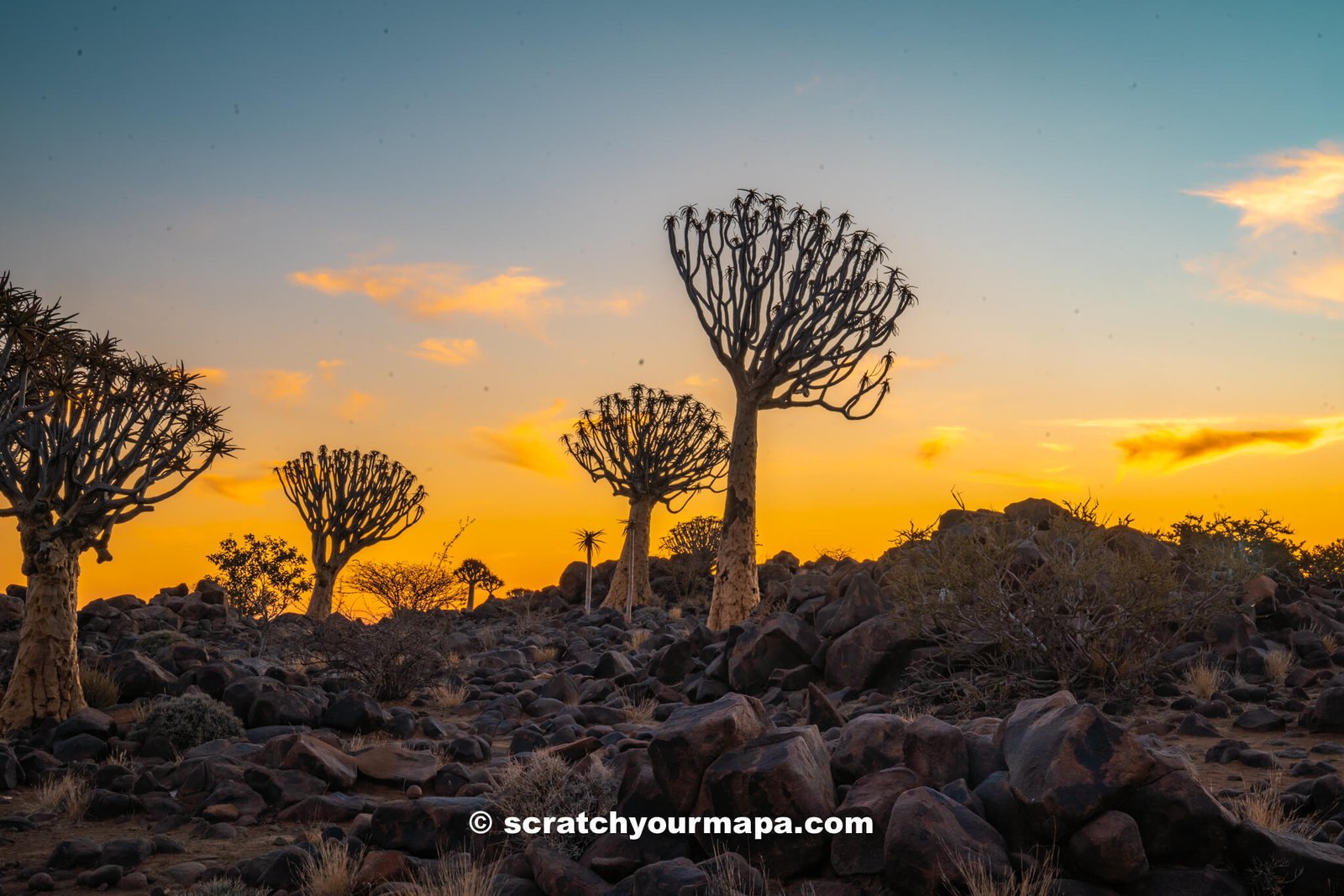 sunset at Quiver Tree Forest in Namibia