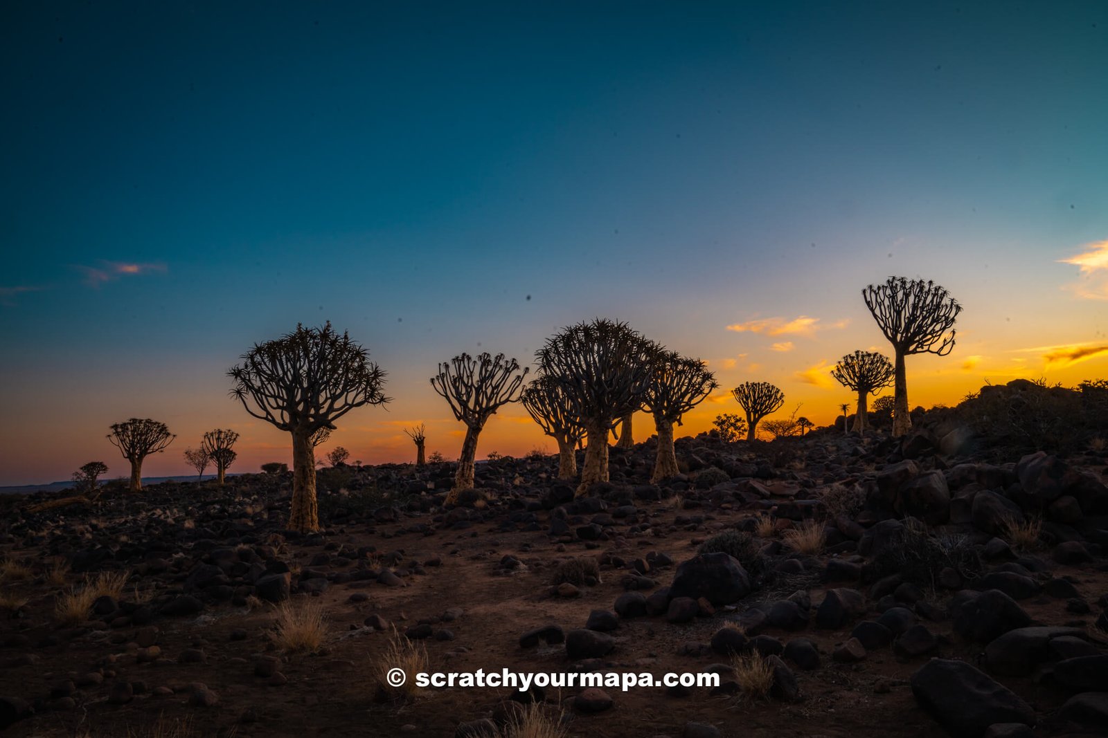 using a wide lens at Quiver Tree Forest in Namibia