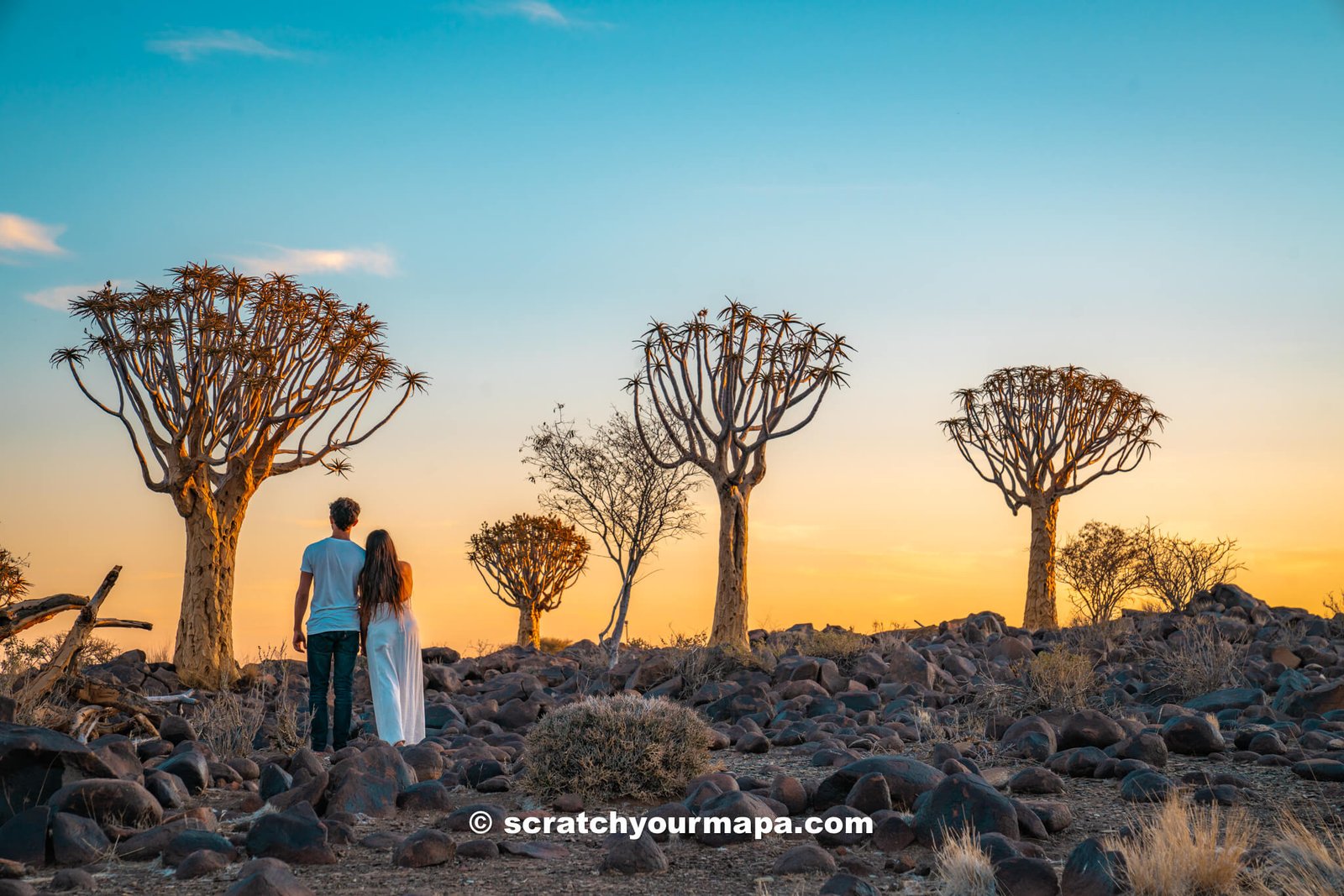 quiver tree forest - one of the best places to visit in Namibia