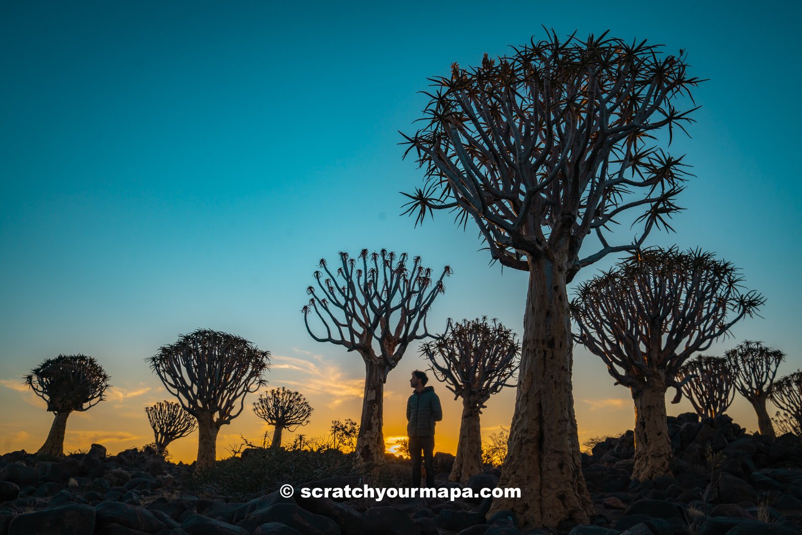 sunset at Quiver Tree Forest in Namibia