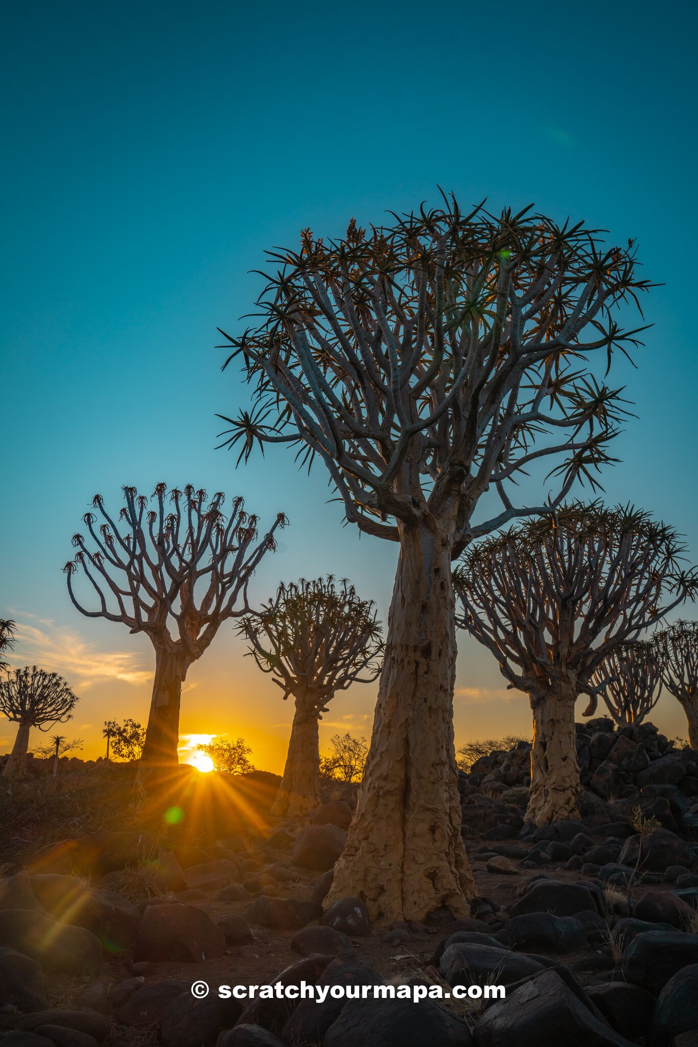 sunset at Quiver Tree Forest in Namibia