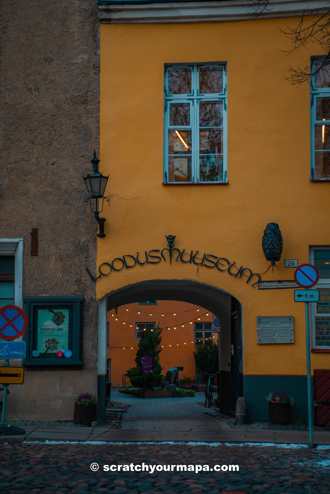 museum in Tallinn - things to do in Tallinn old town