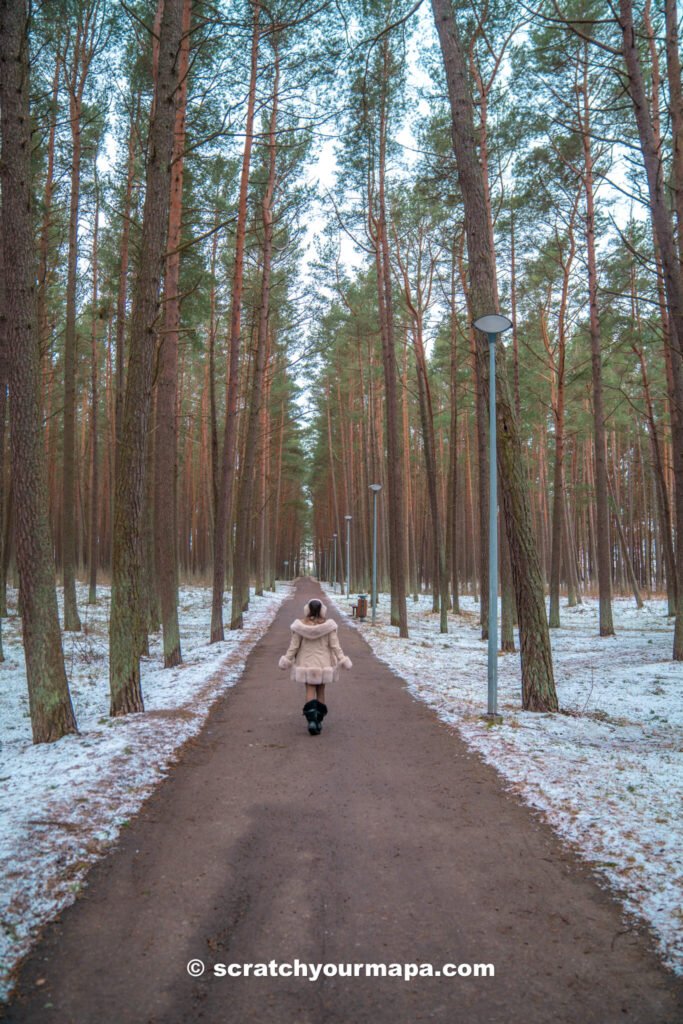 Pirita, how to get around Tallinn, Estonia