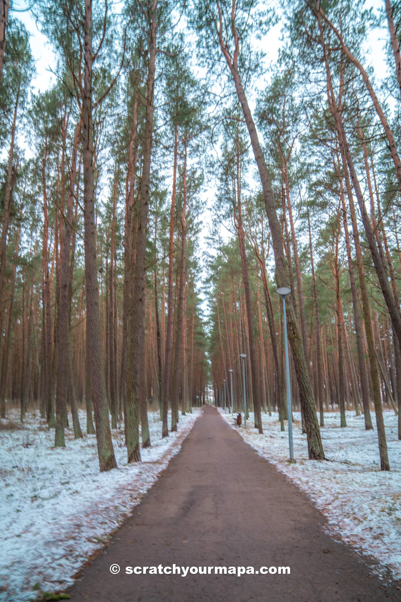 Tallinn outside the old town-5 Tallinn travel guides
