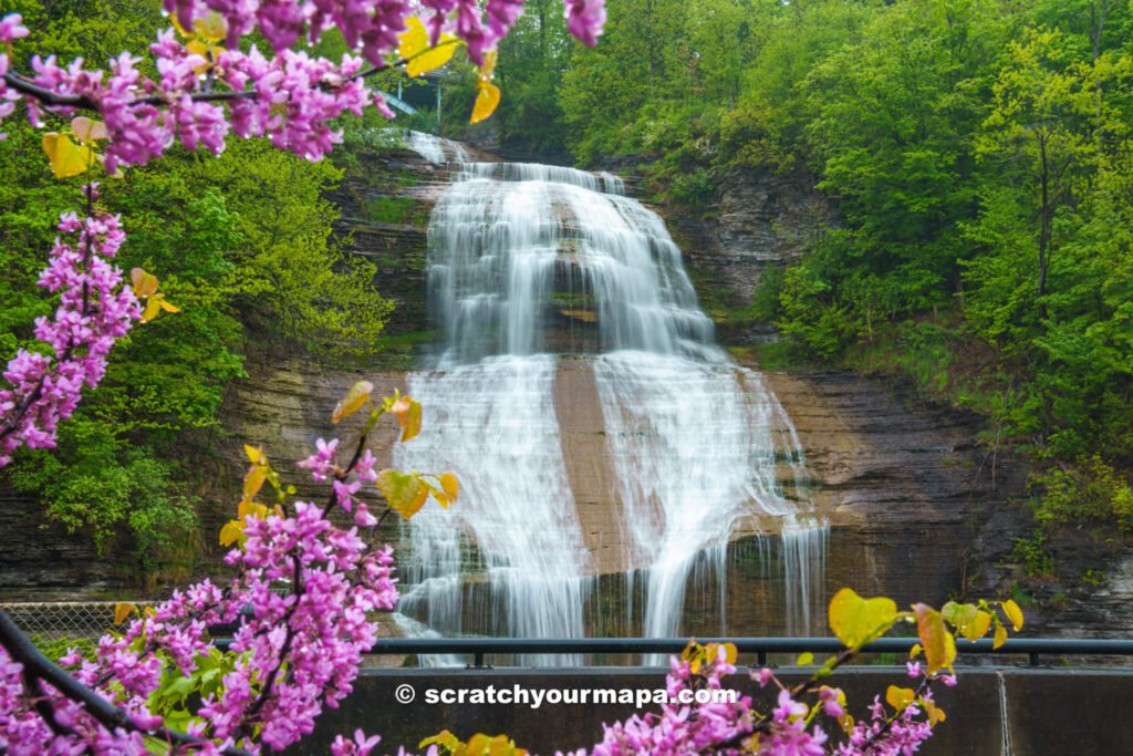 waterfall in New York