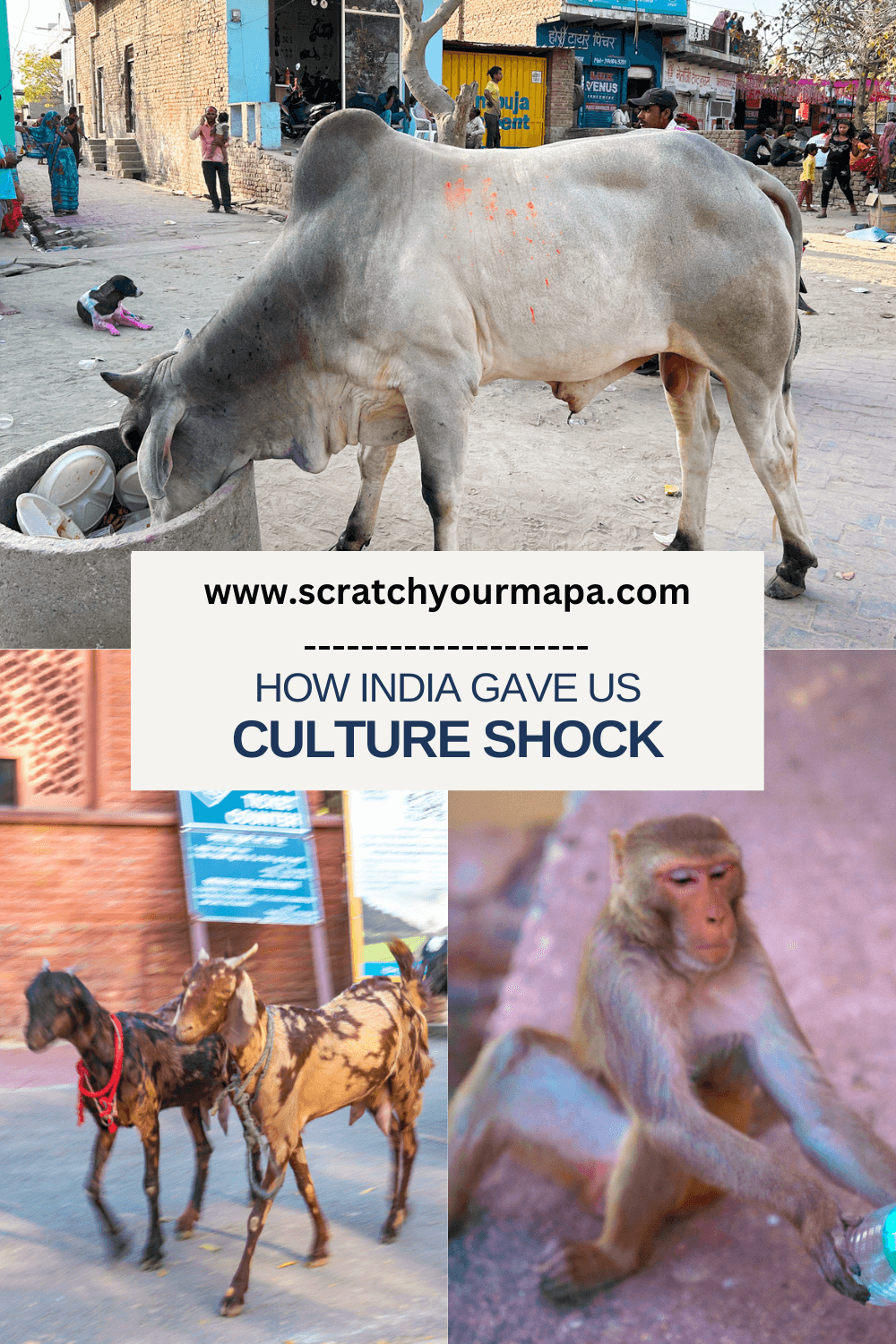 Culture shock in India guide