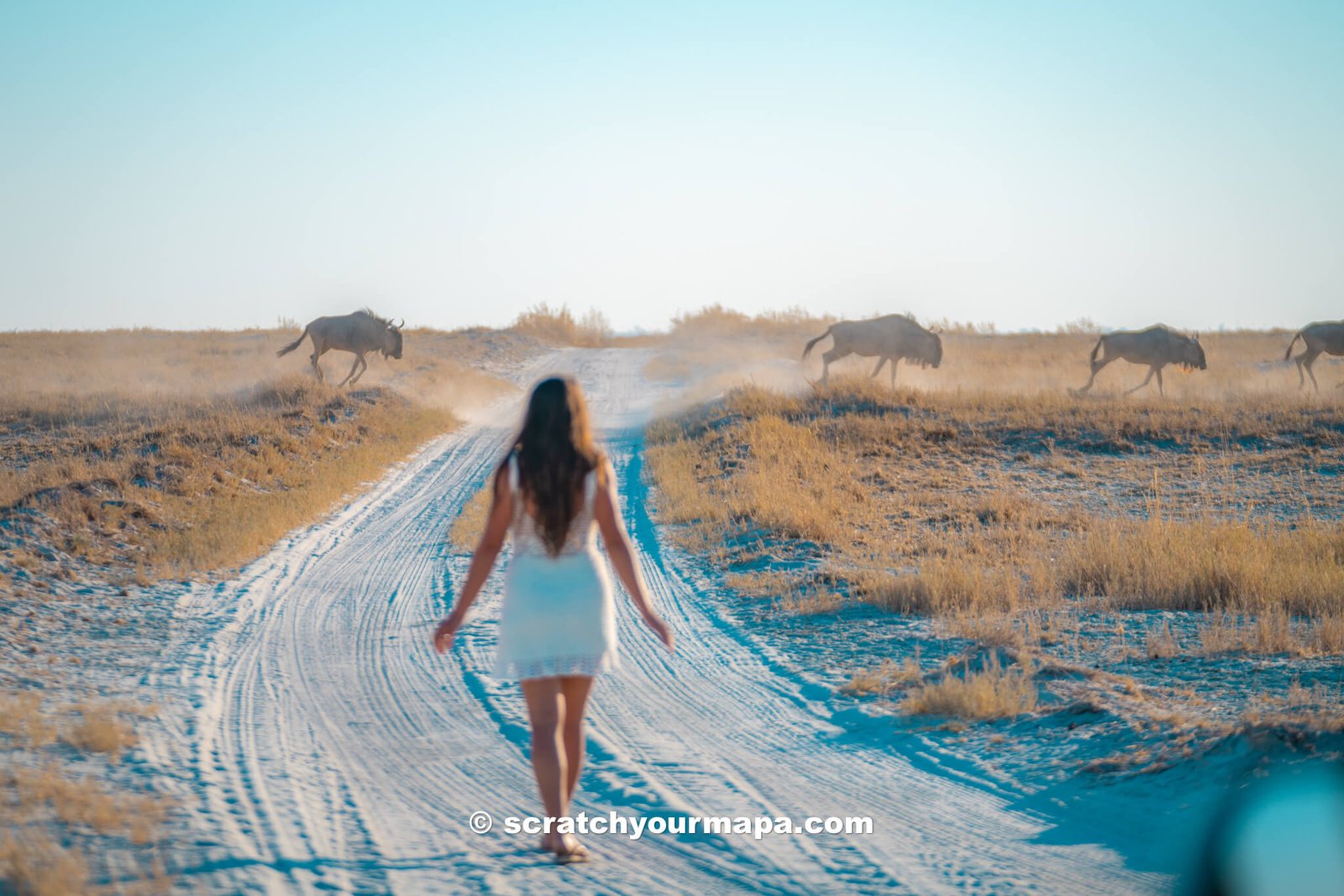 first time safari tips 
