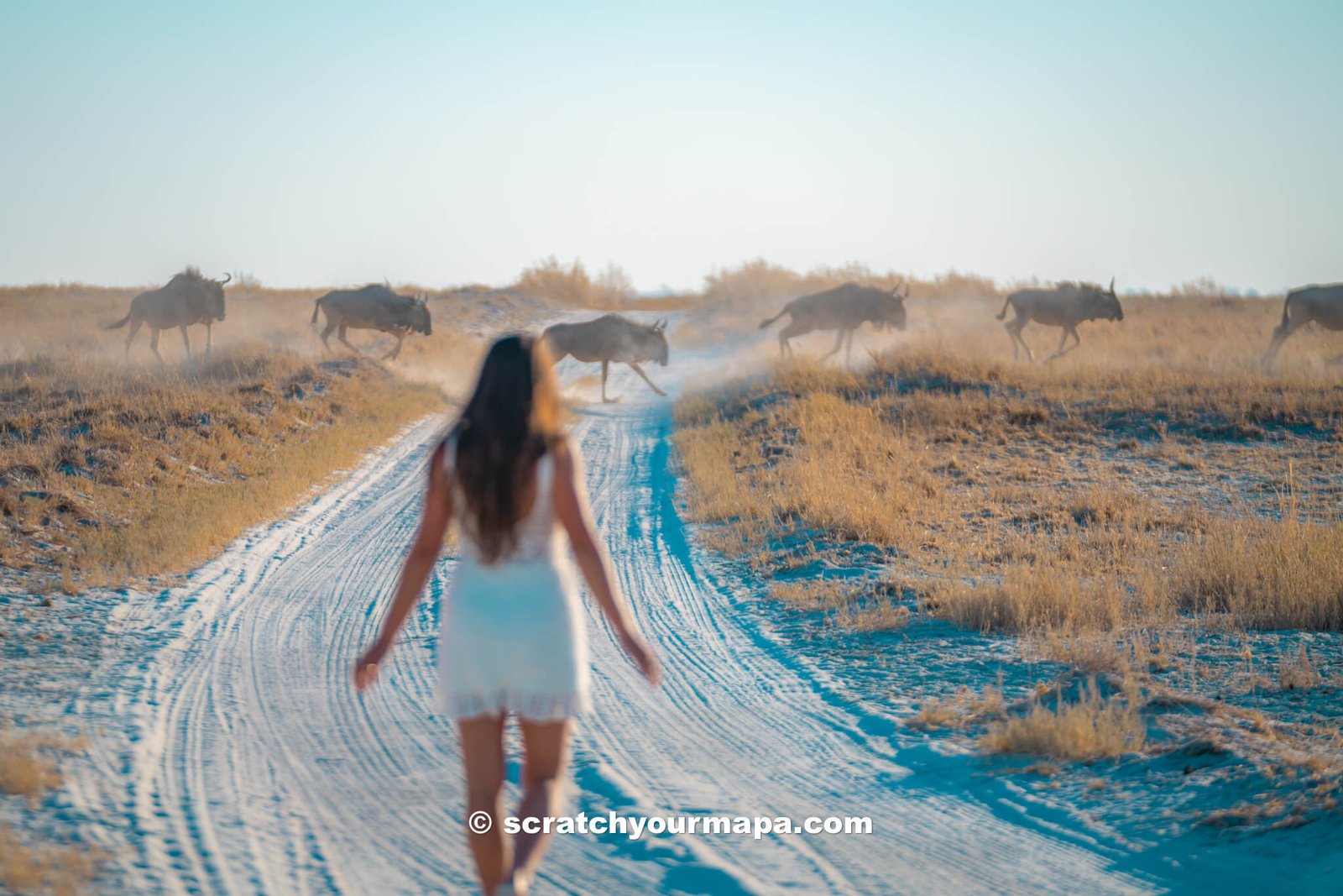 wear neutral colors - first time safari tips