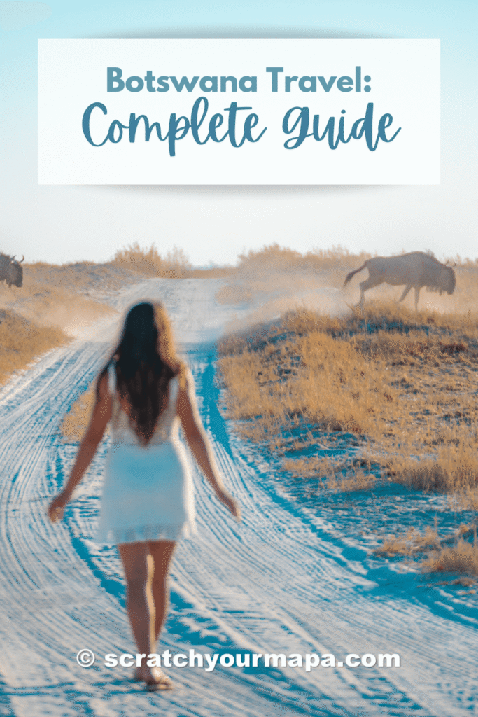 IS BOTSWANA WORTH VISITING visual data 6