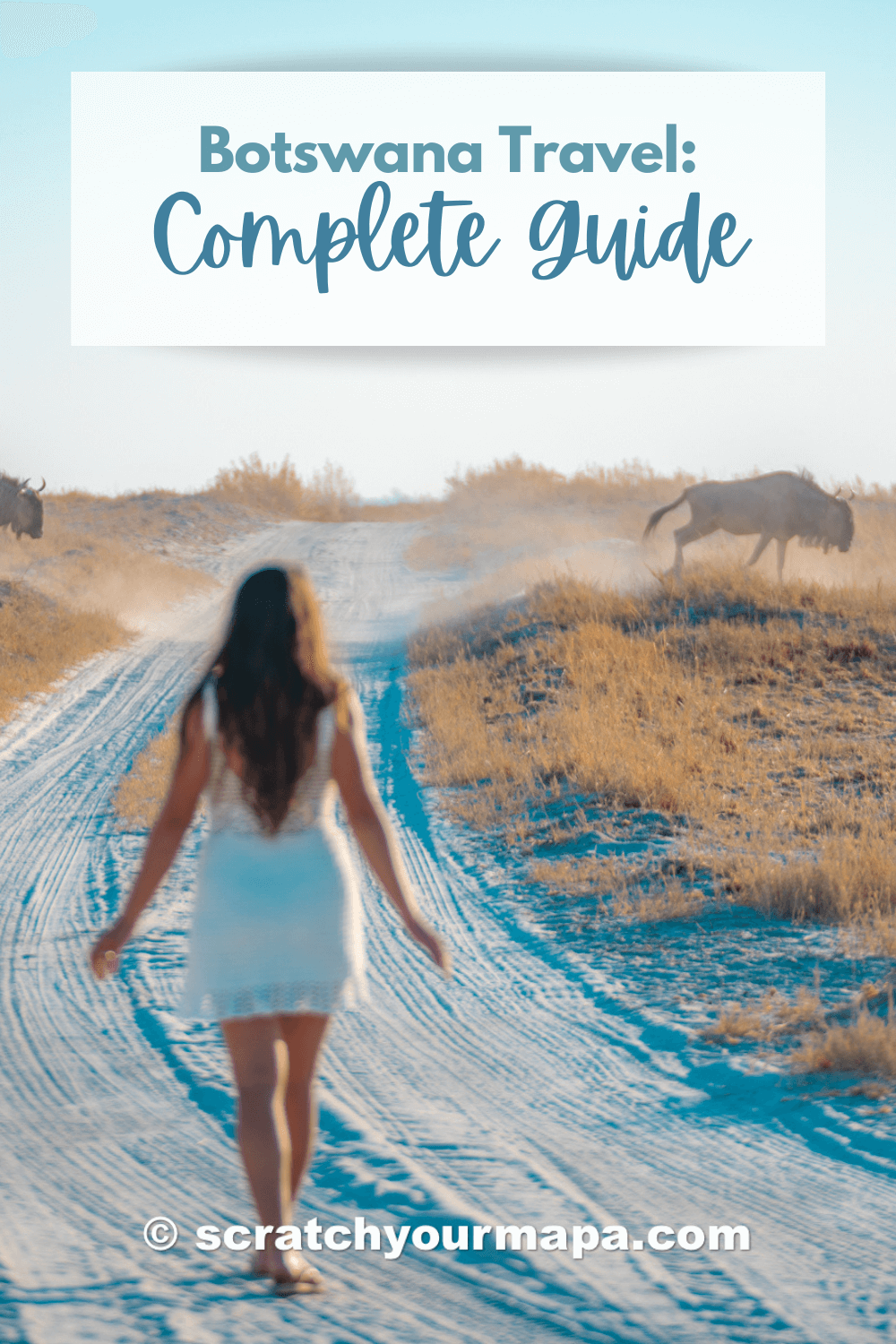 travel guide for visiting Botswana for the first time