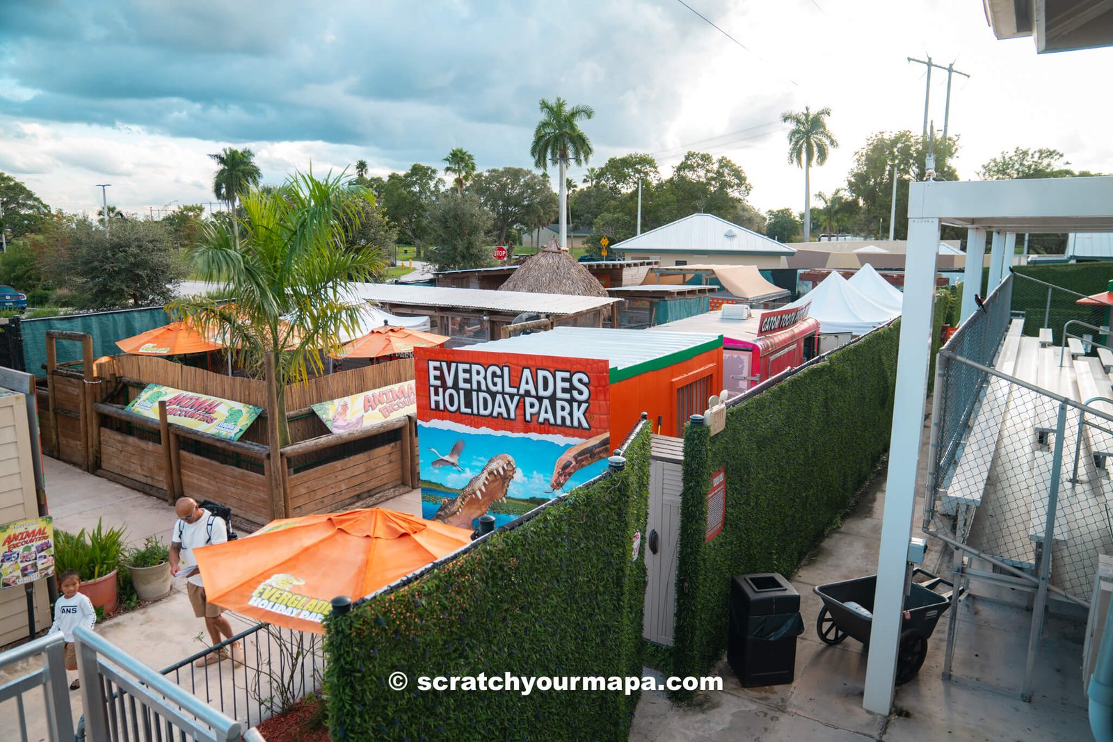 The Everglades - things in Florida to do