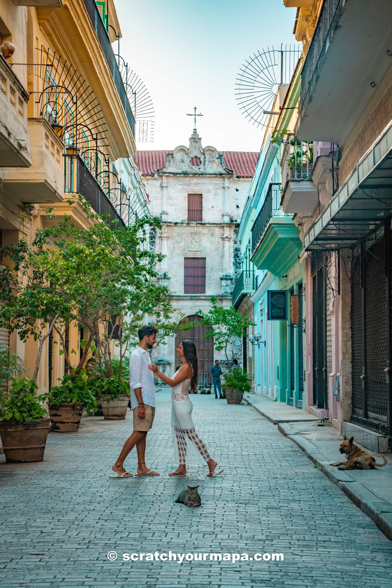 best restaurants in Havana, Cuba 