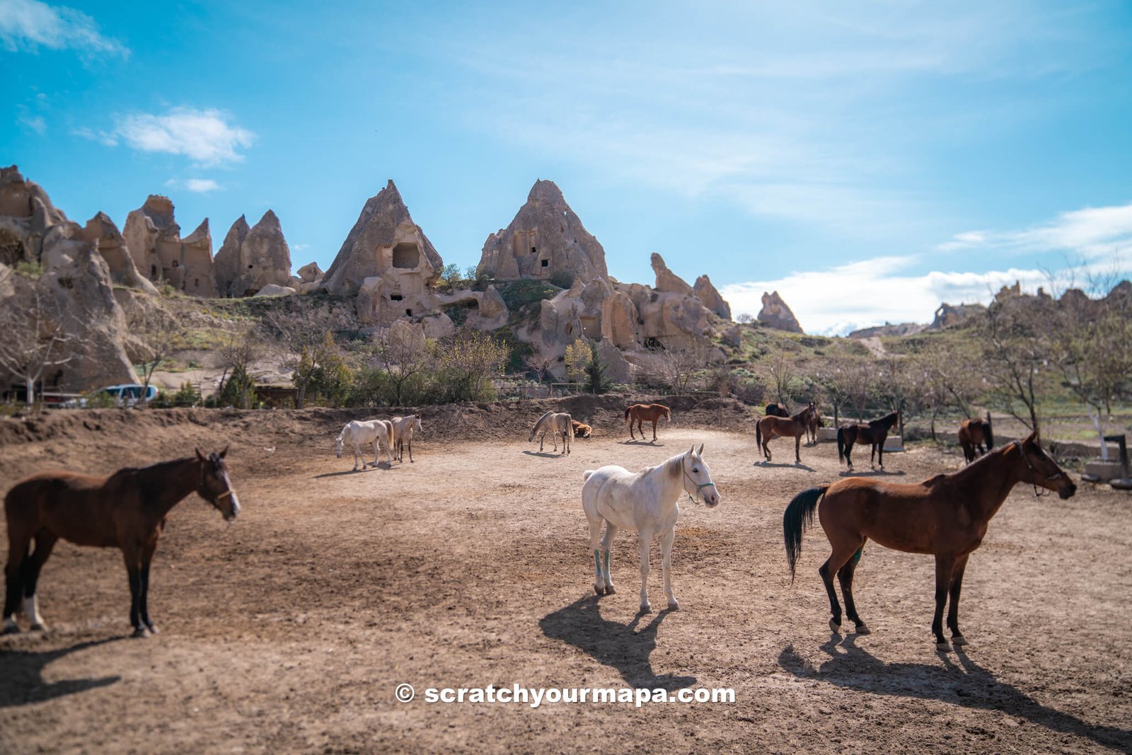 Cappadocia horse photoshoots at Dalton Brothers