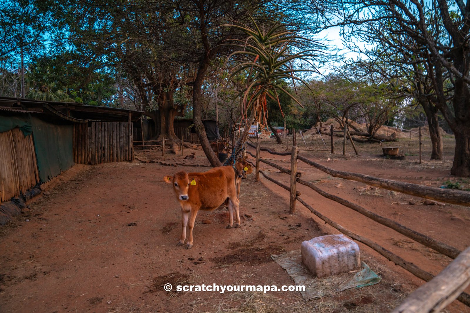 Nyanza Guest Cottage - Eswatini travel guide