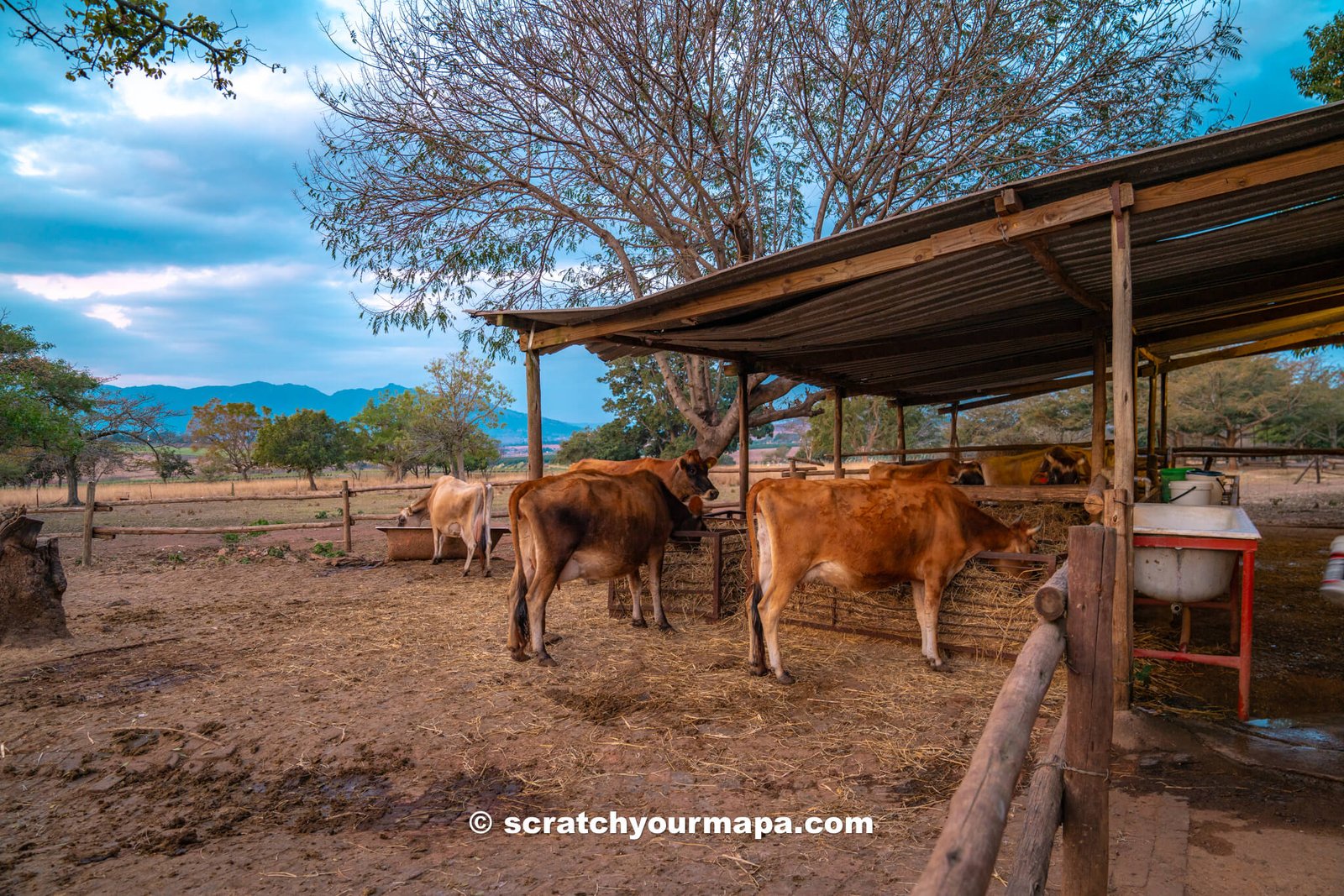 Nyanza Guest House farm - best things to do in Eswatini