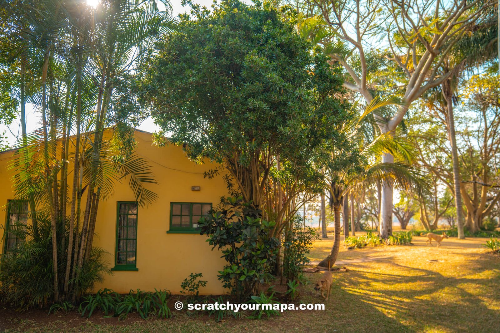 Nyanza Guest House farm - best things to do in Eswatini