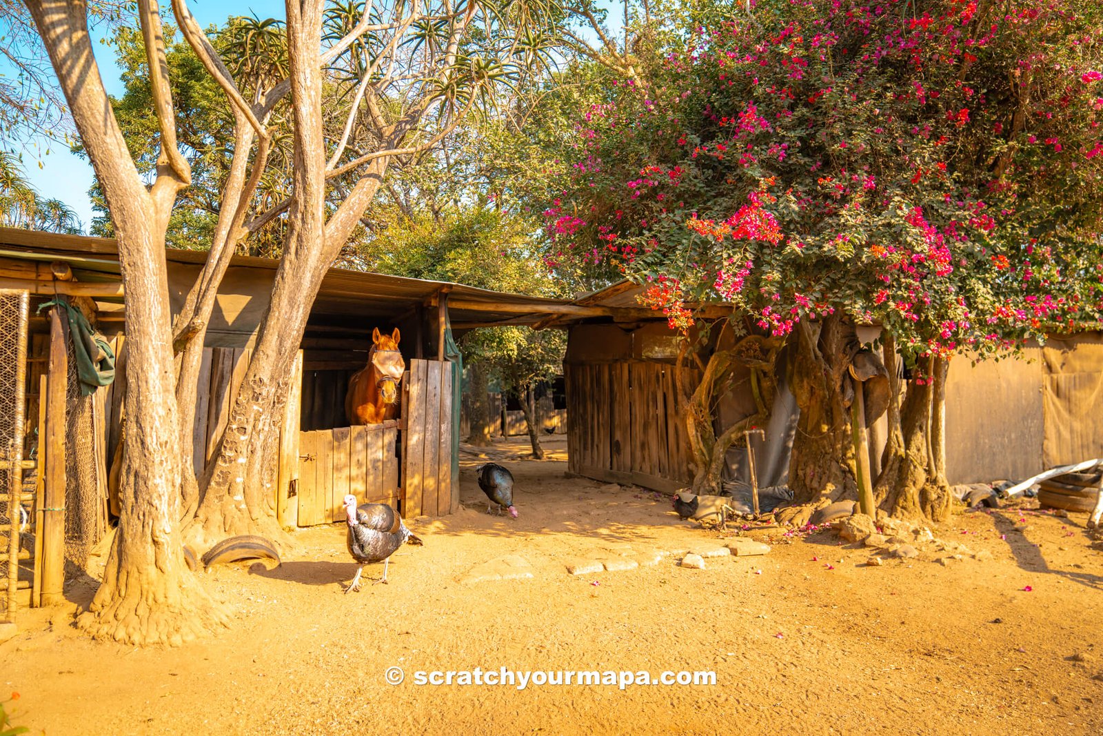 Nyanza Guest House farm - best things to do in Eswatini